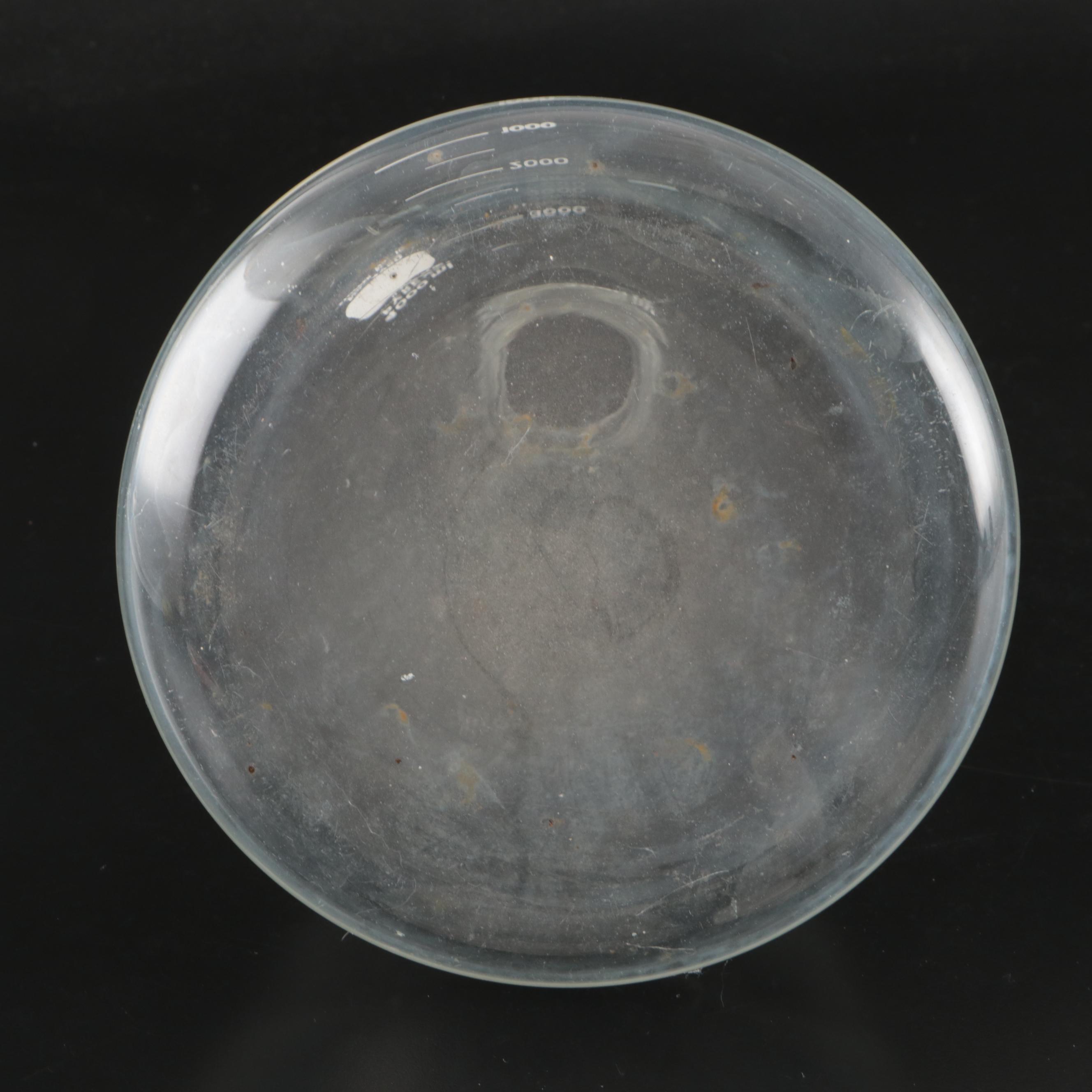 Glass Desiccator with Pyrex 4000ml Beaker