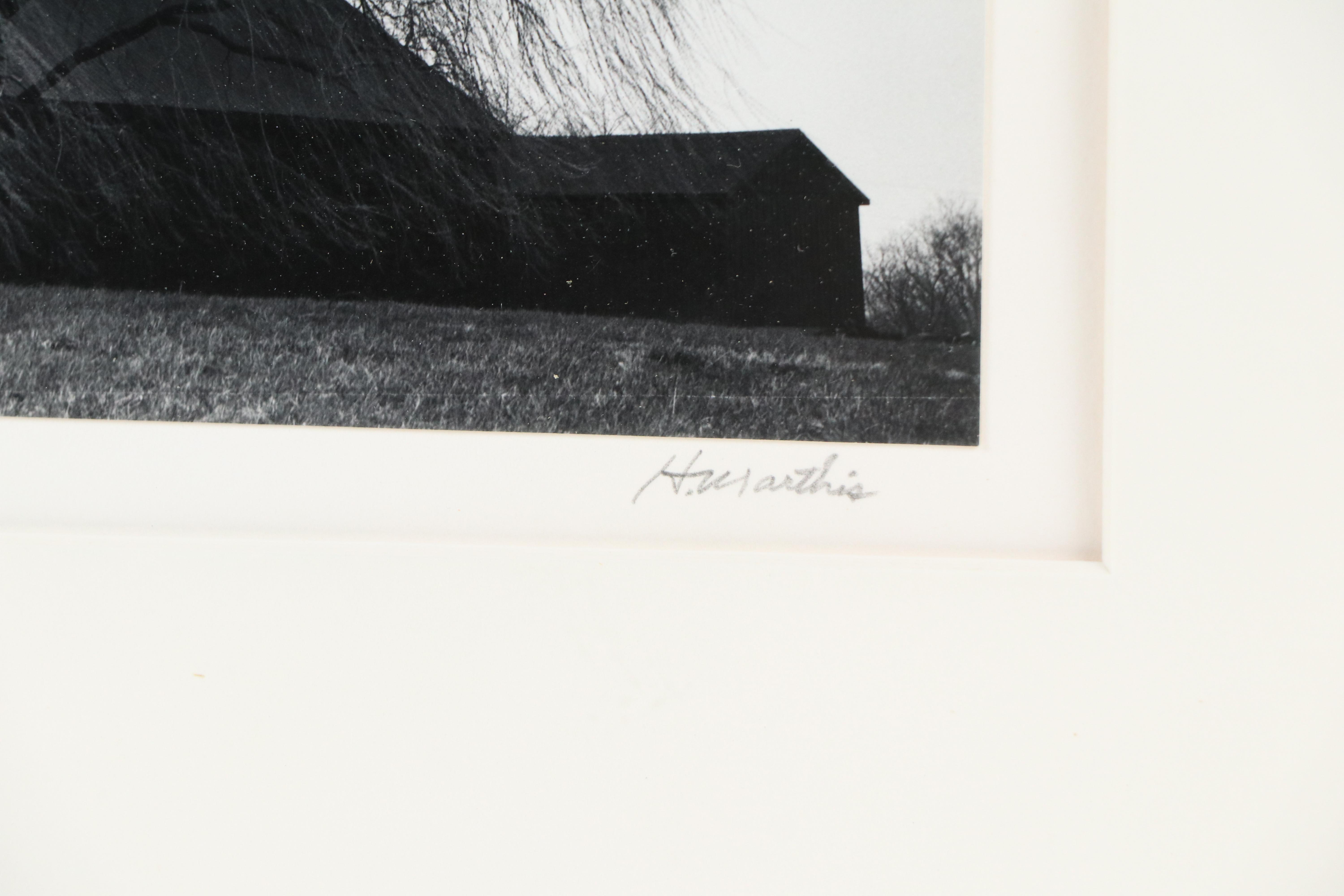 H. Mathis Black and White Photographic Print "Willow in the Wind," 1980