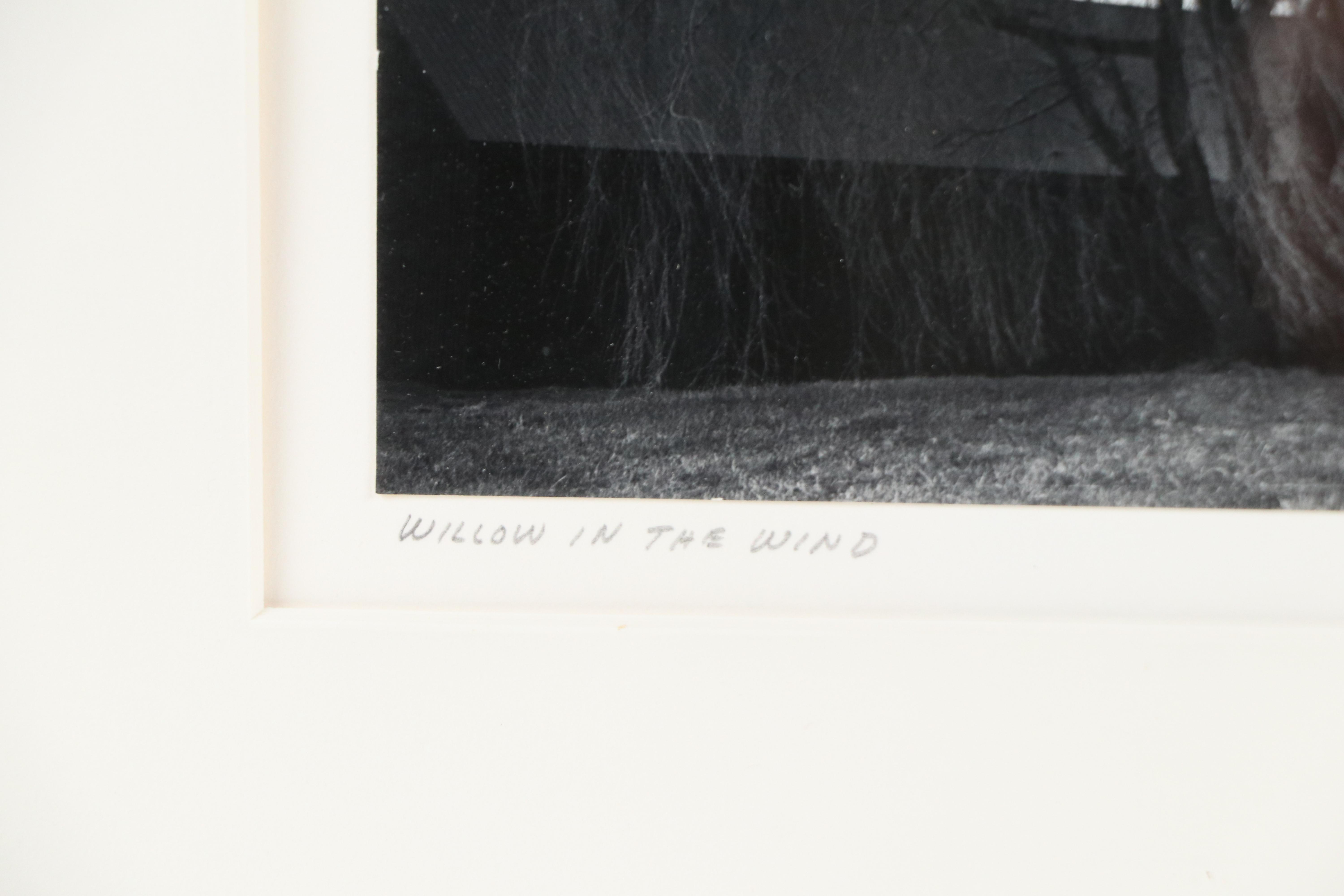 H. Mathis Black and White Photographic Print "Willow in the Wind," 1980