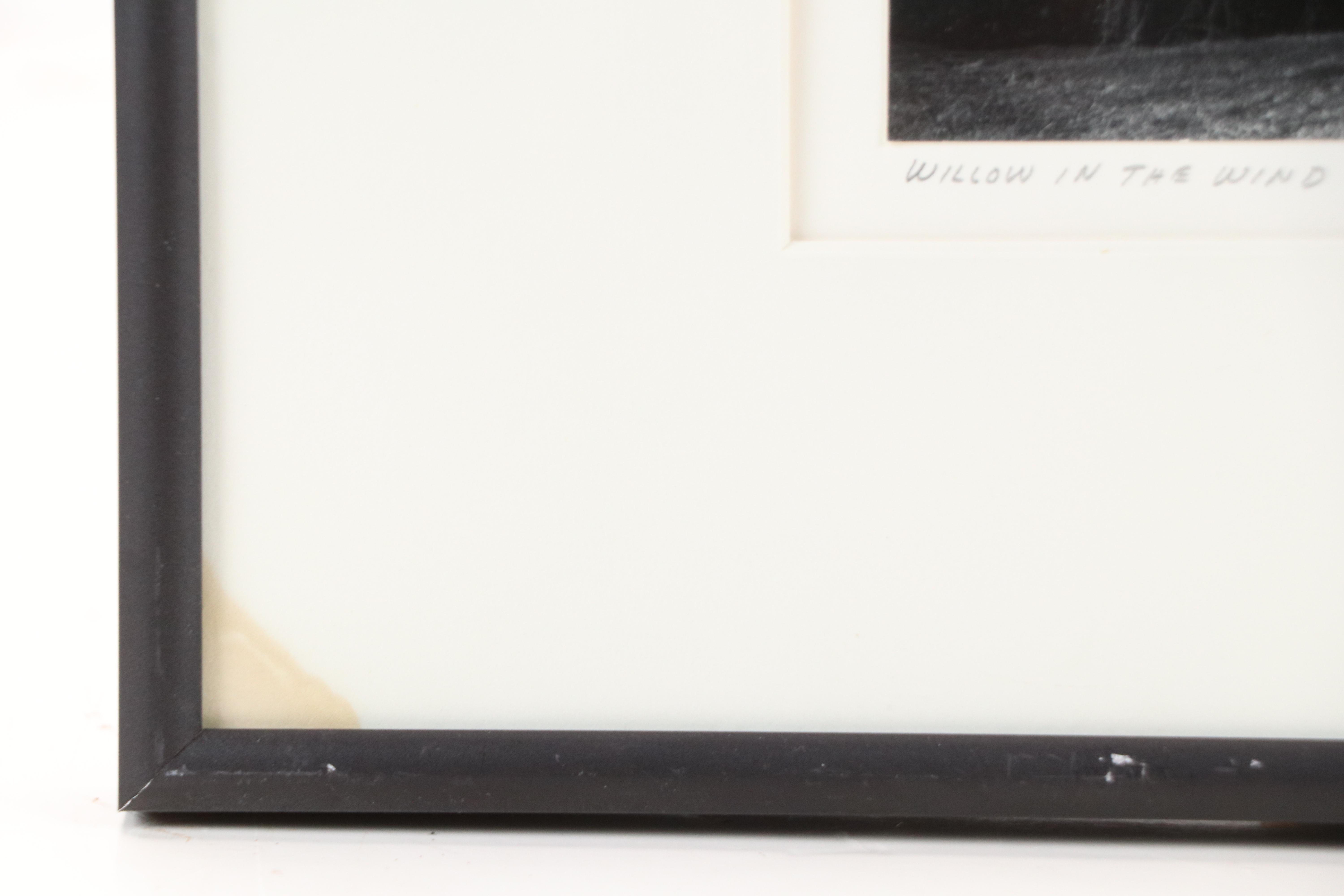 H. Mathis Black and White Photographic Print "Willow in the Wind," 1980