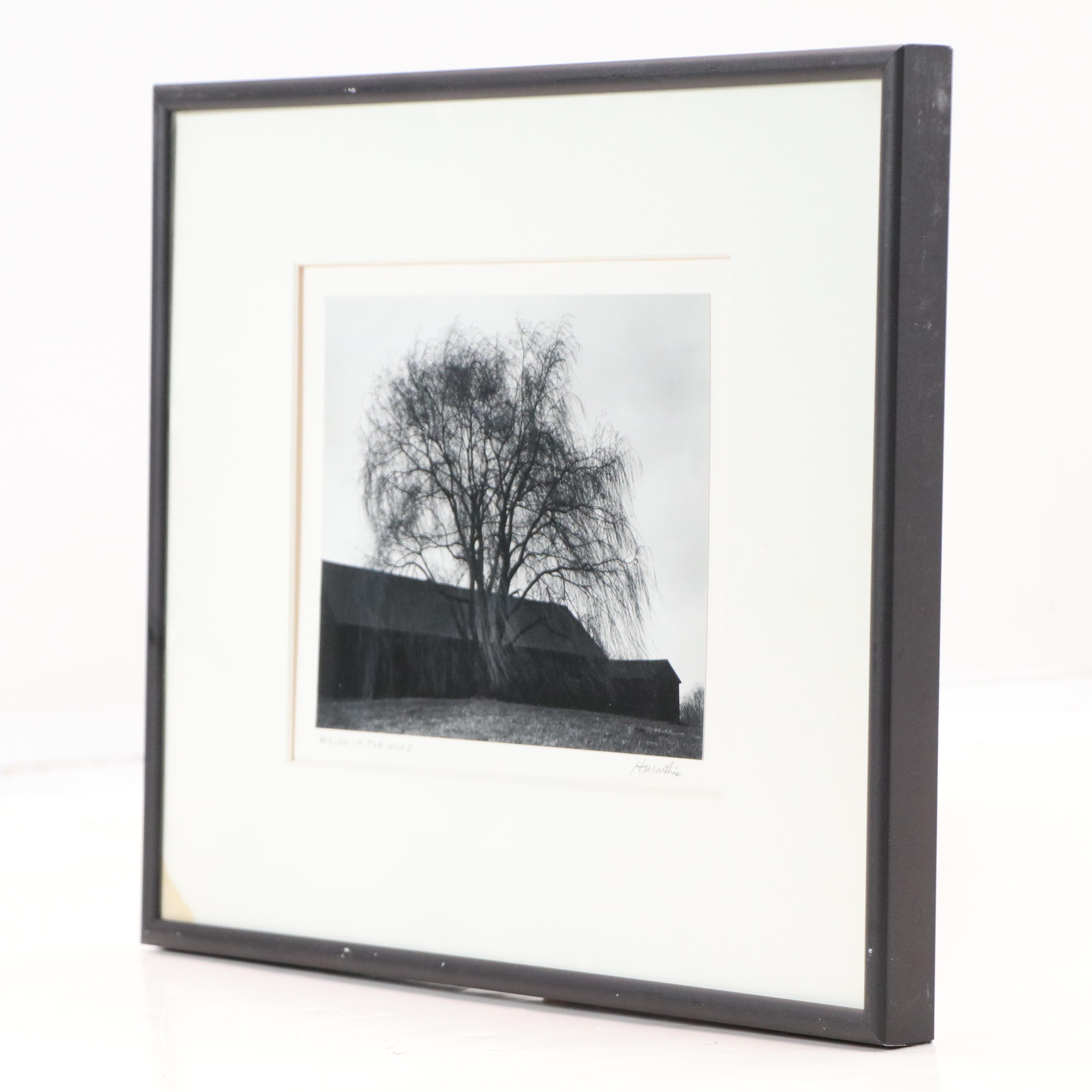 H. Mathis Black and White Photographic Print "Willow in the Wind," 1980