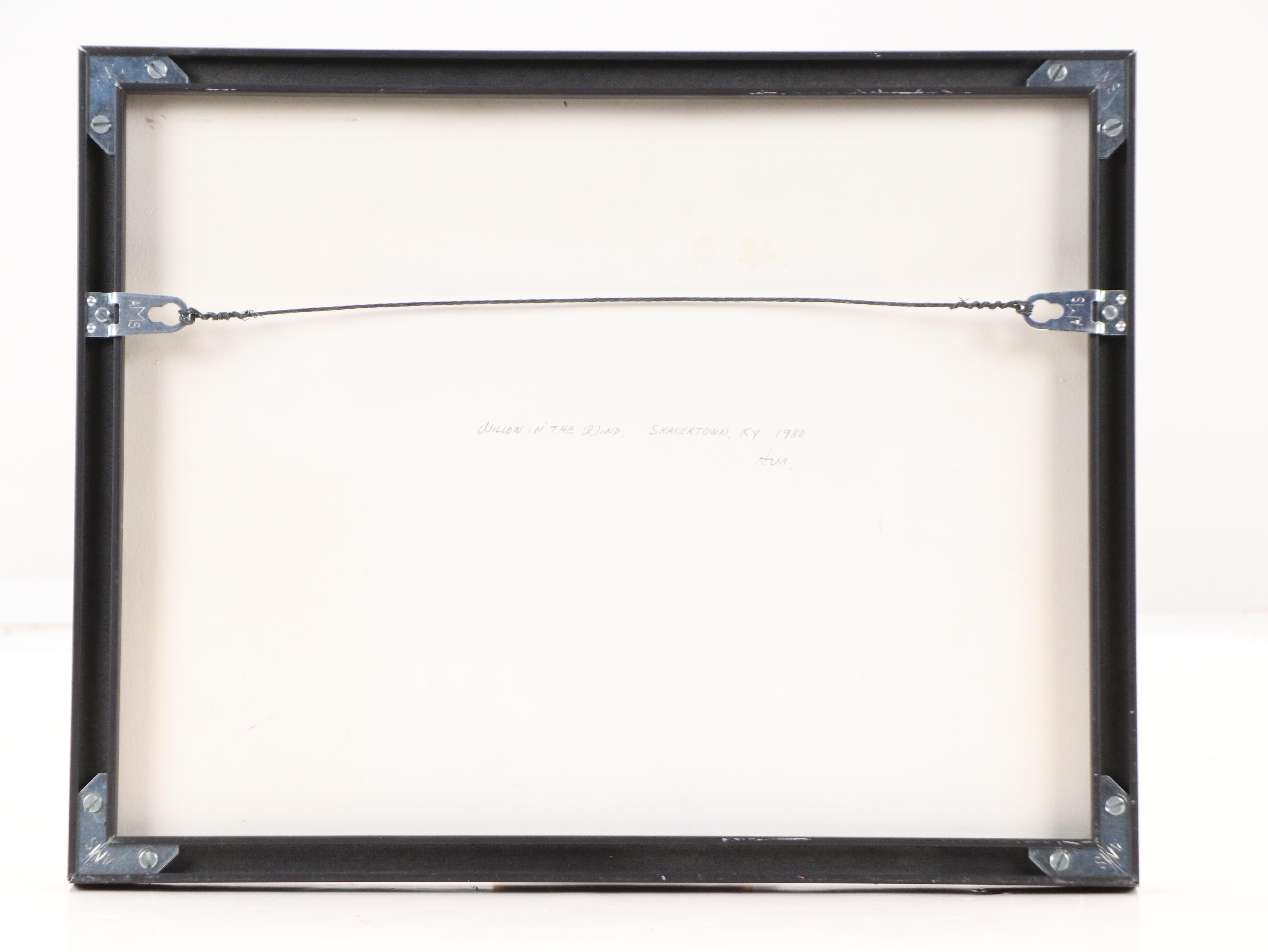 H. Mathis Black and White Photographic Print "Willow in the Wind," 1980