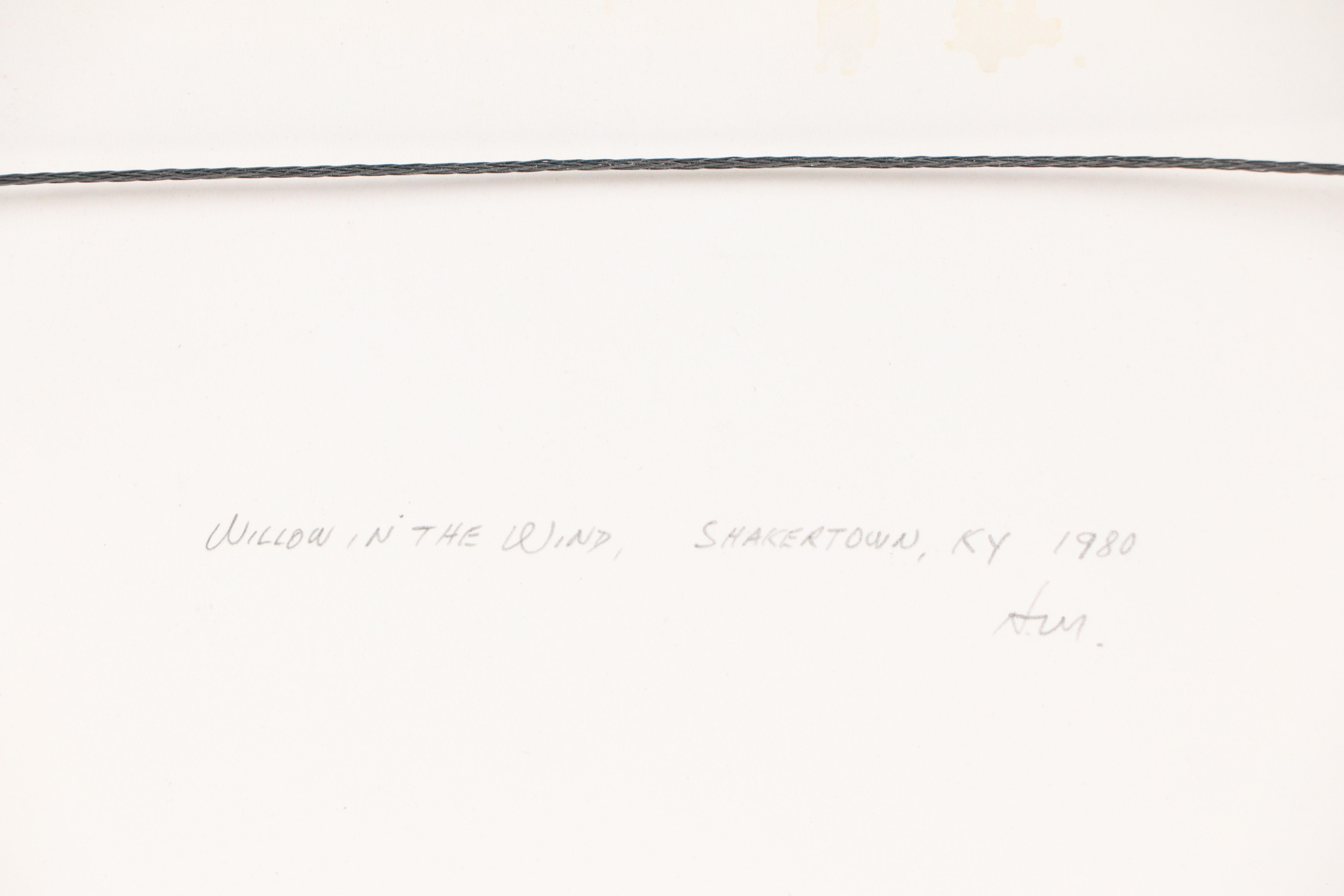 H. Mathis Black and White Photographic Print "Willow in the Wind," 1980