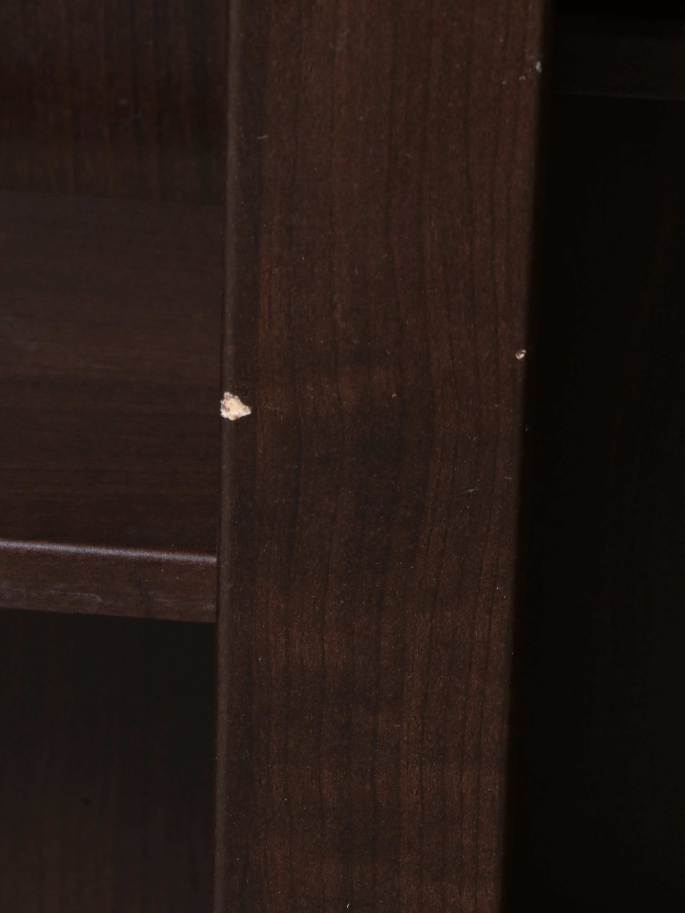 Traditional Style Mahogany Finish Bookcase