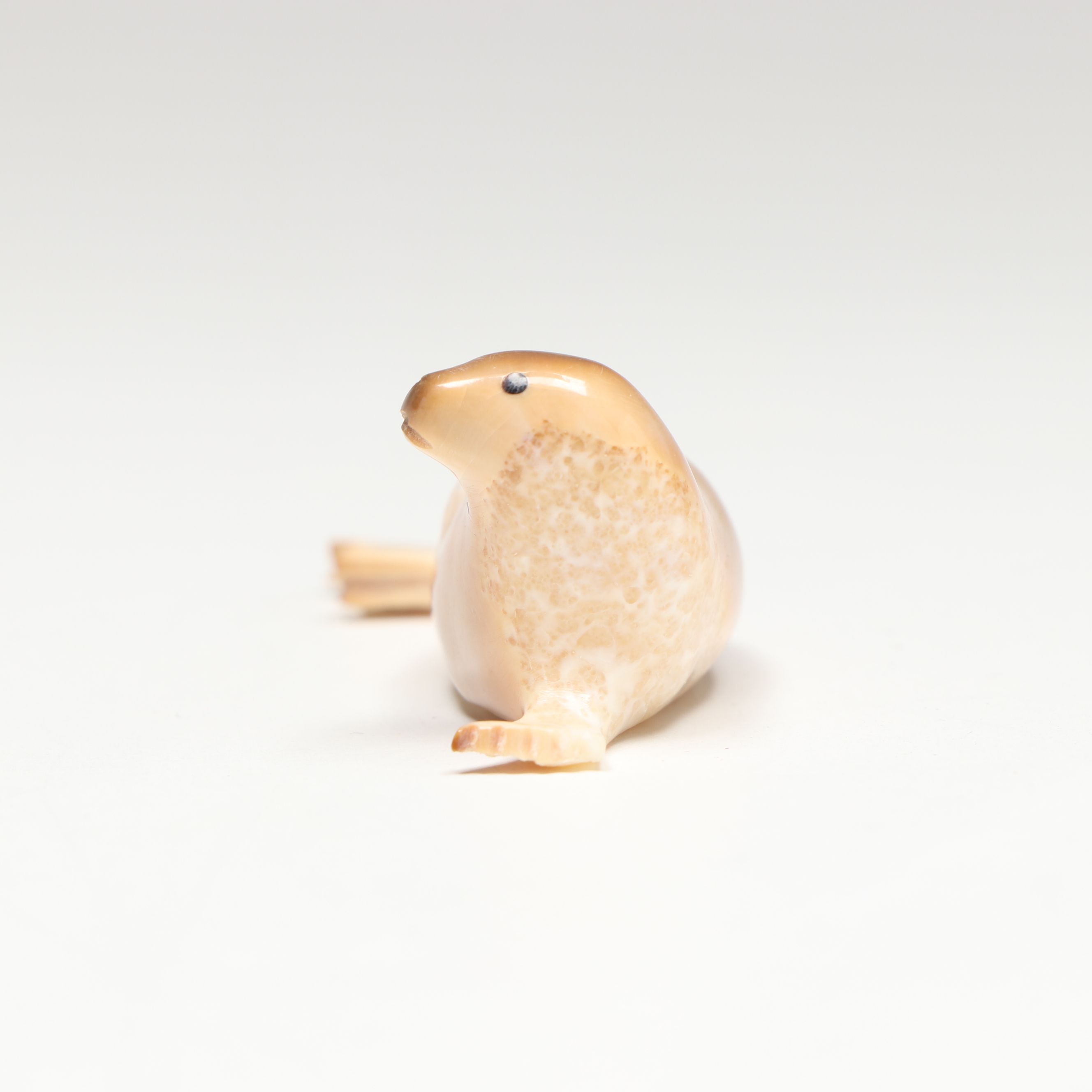 Inuit Carved Fossilized Walrus Ivory Seal