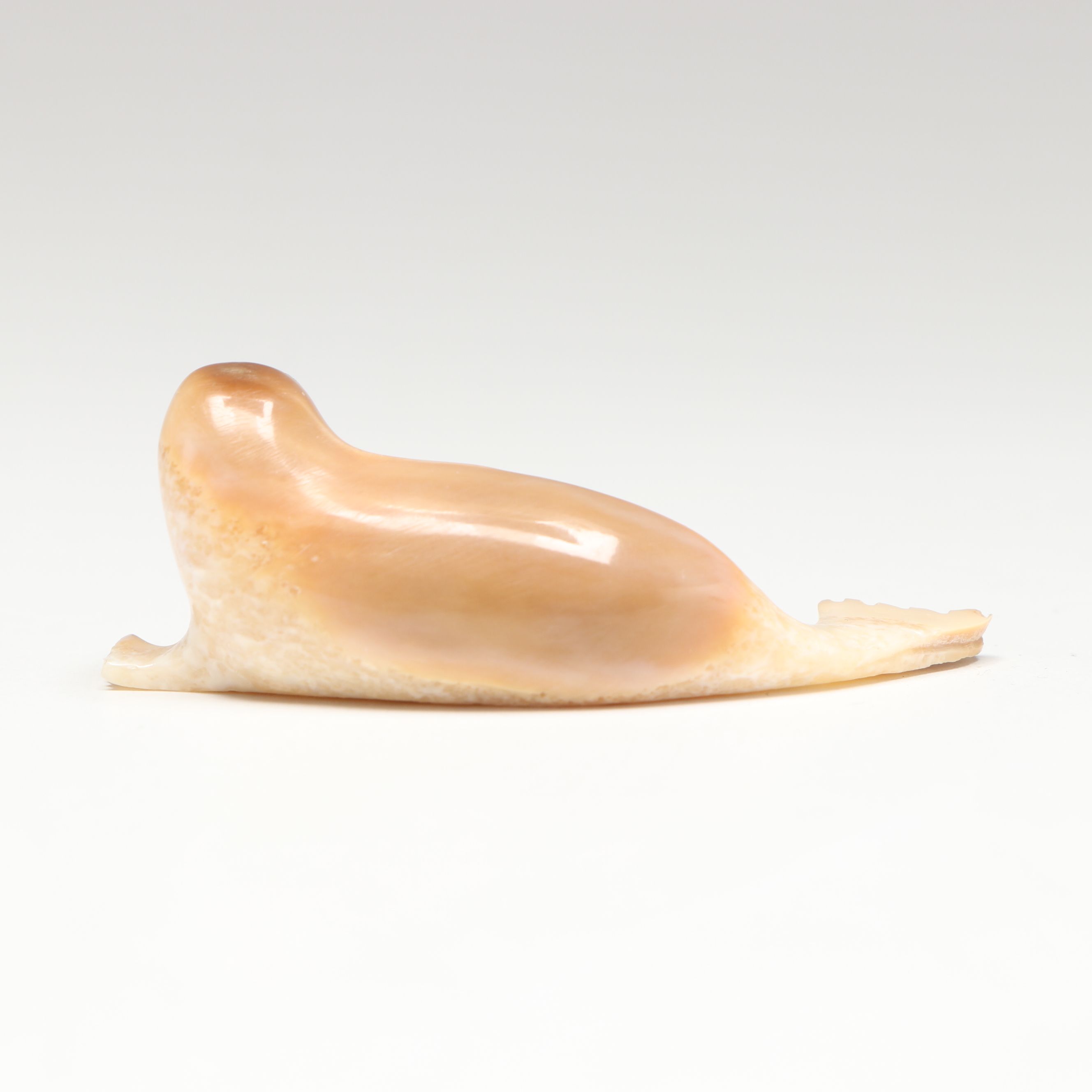 Inuit Carved Fossilized Walrus Ivory Seal
