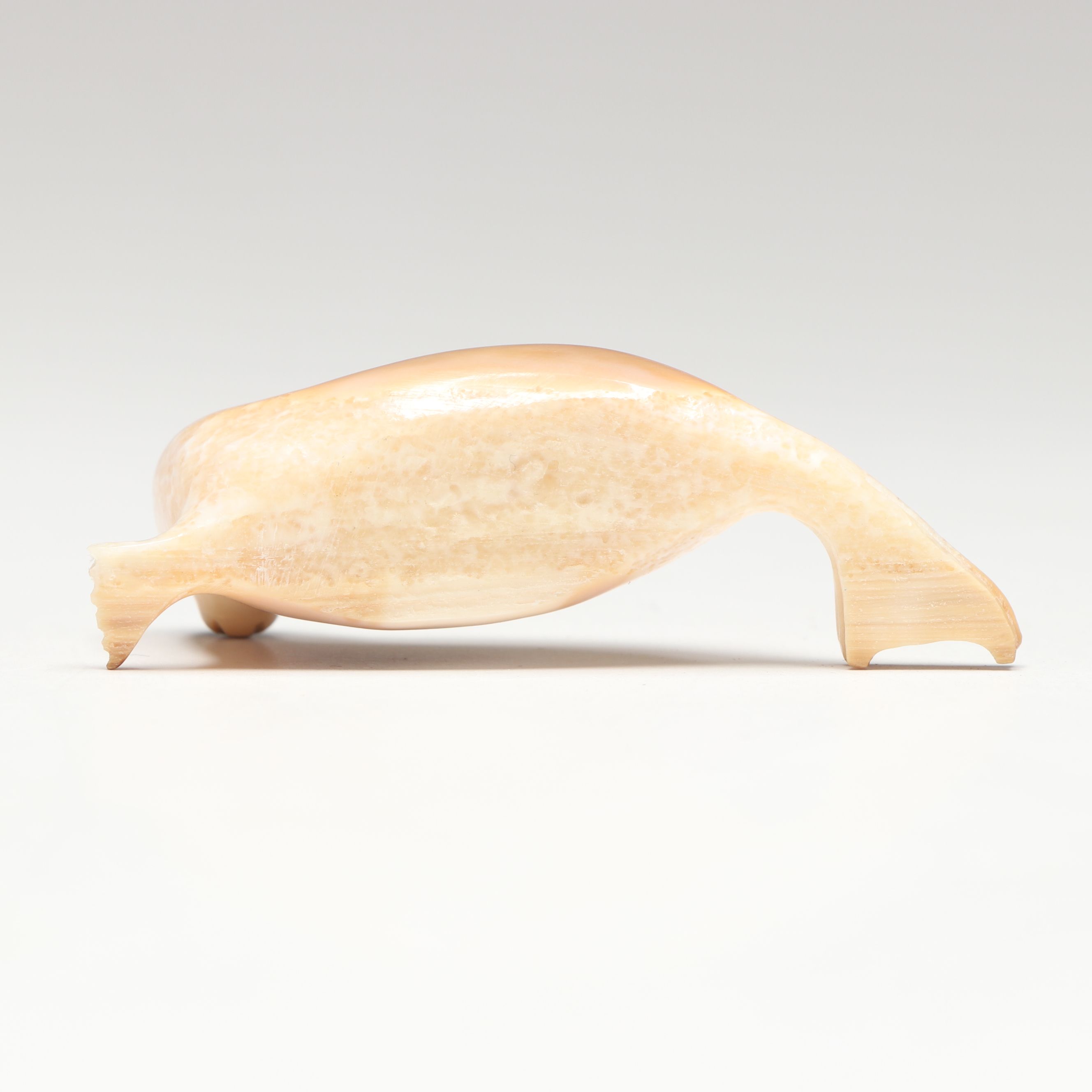 Inuit Carved Fossilized Walrus Ivory Seal