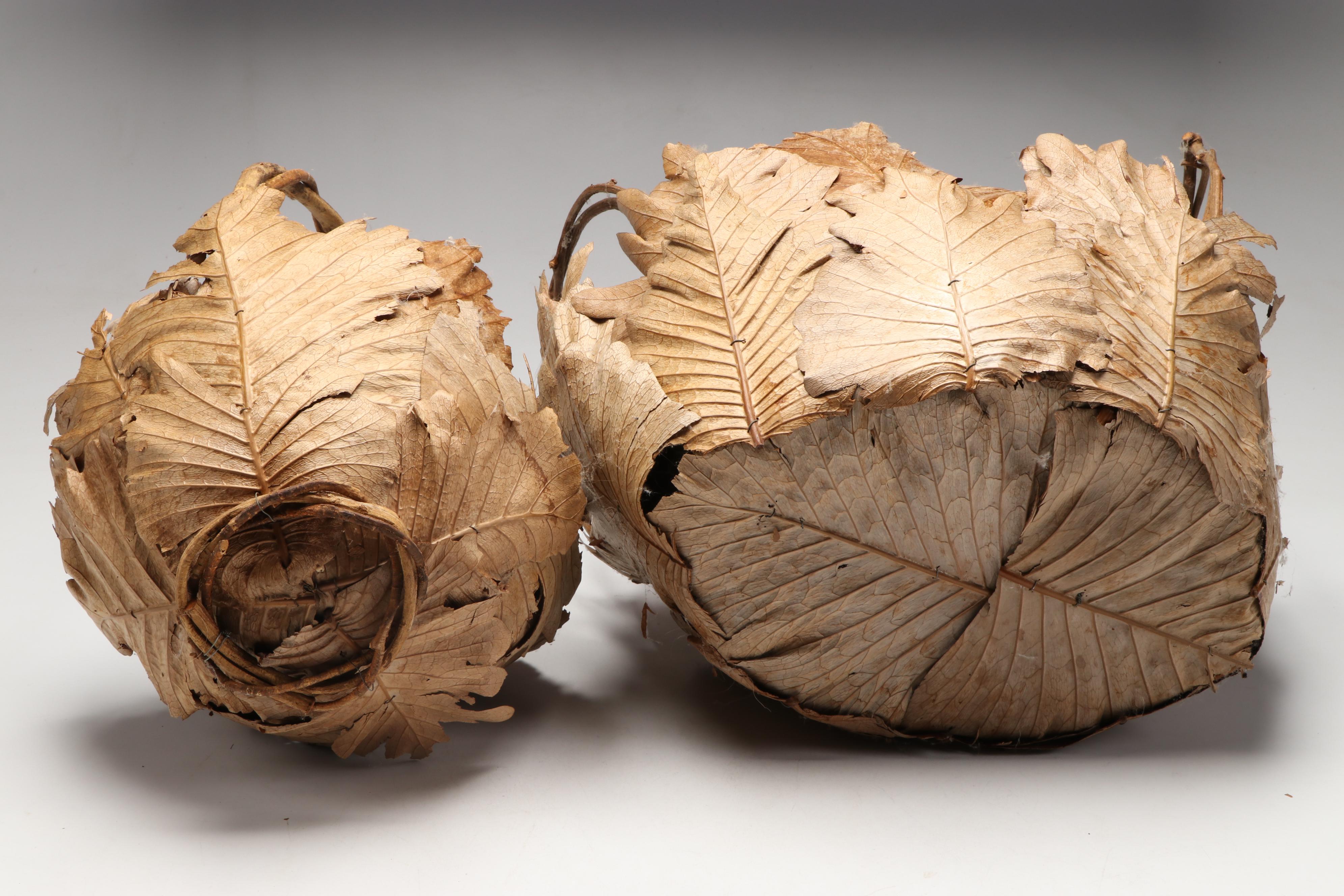 Handmade Leaf and Twig Baskets