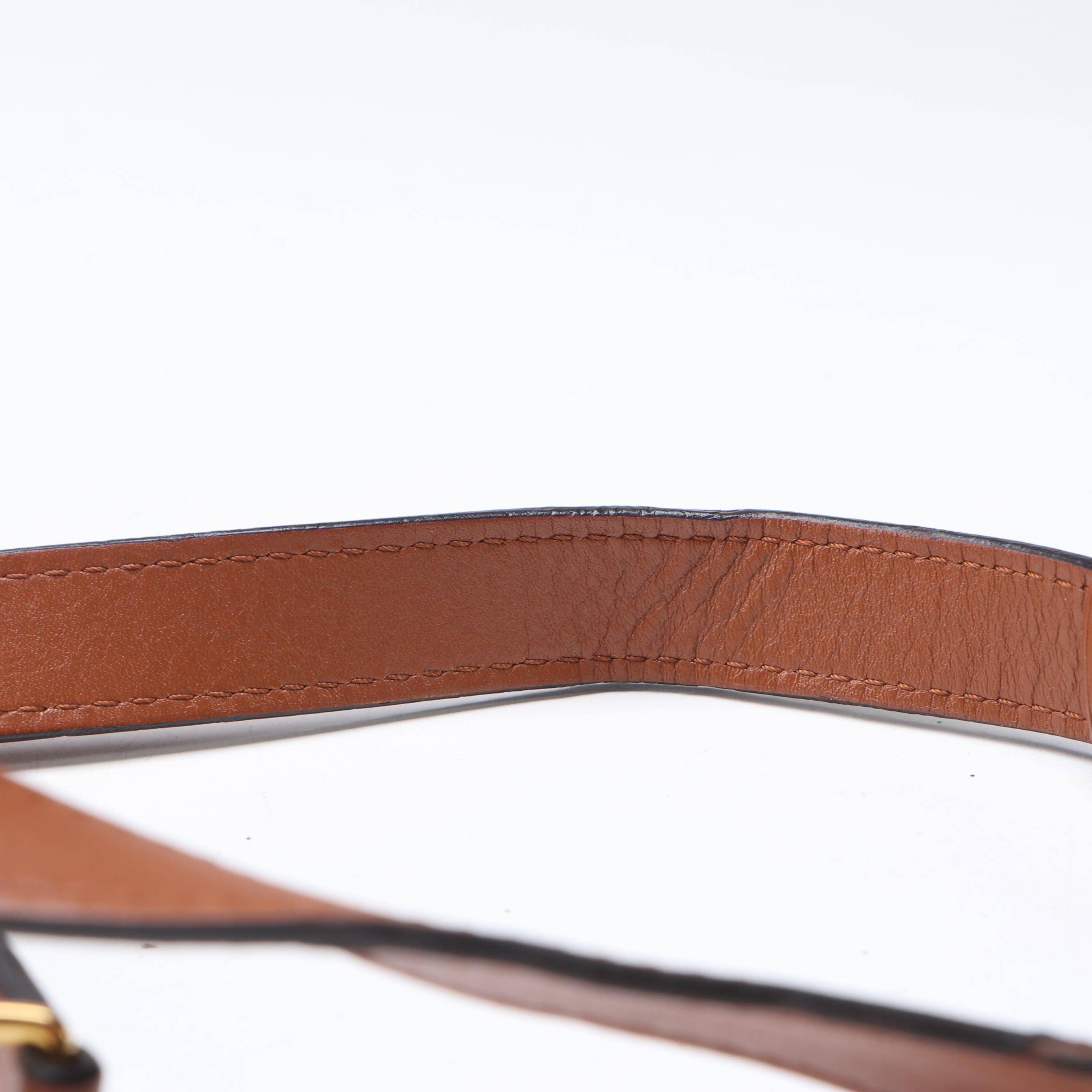 Louis Vuitton Dauphine MM Bag in Color Block Taurillon Leather