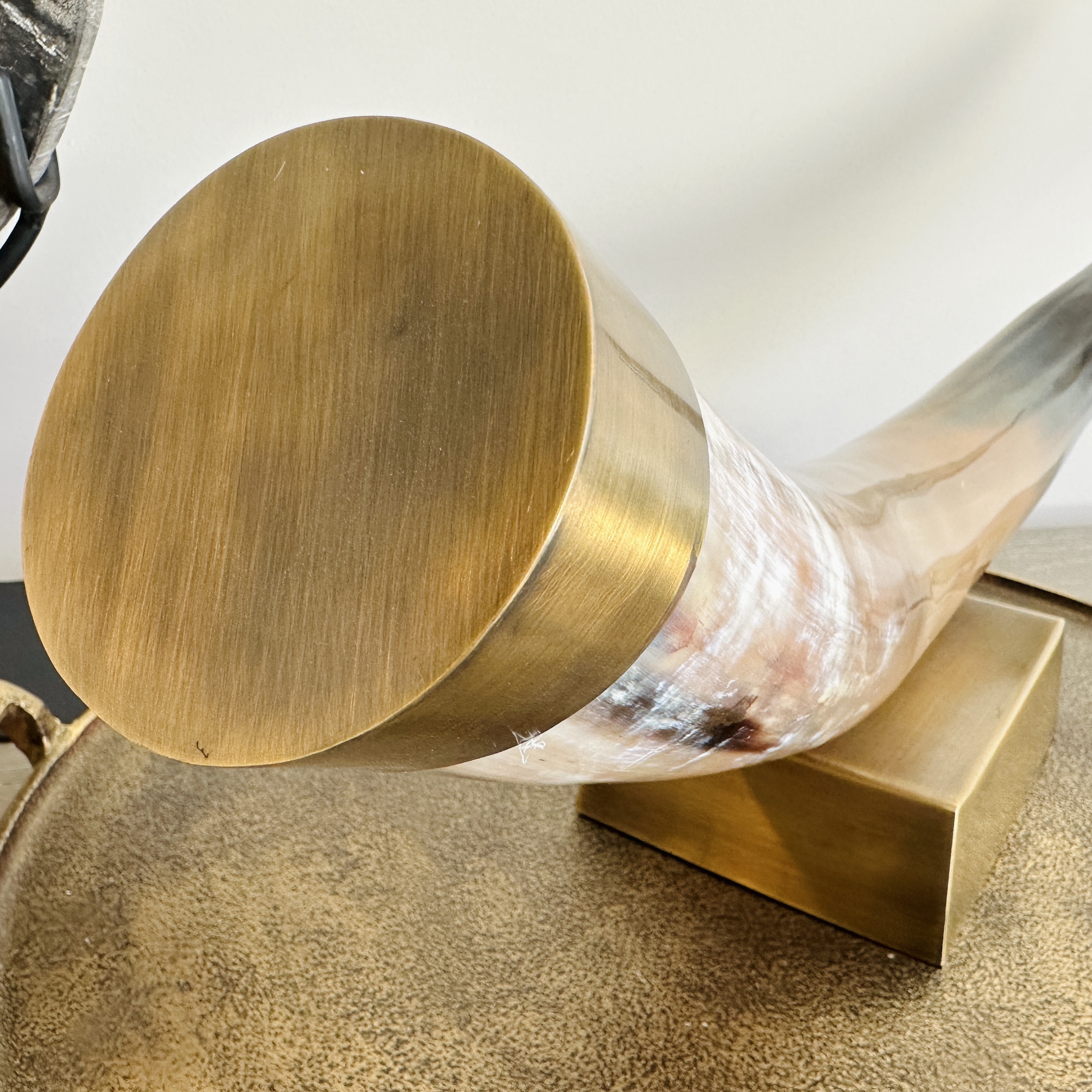 West Elm Petrified Wood Slices and Bookends with Faux Horn and More Home Accents