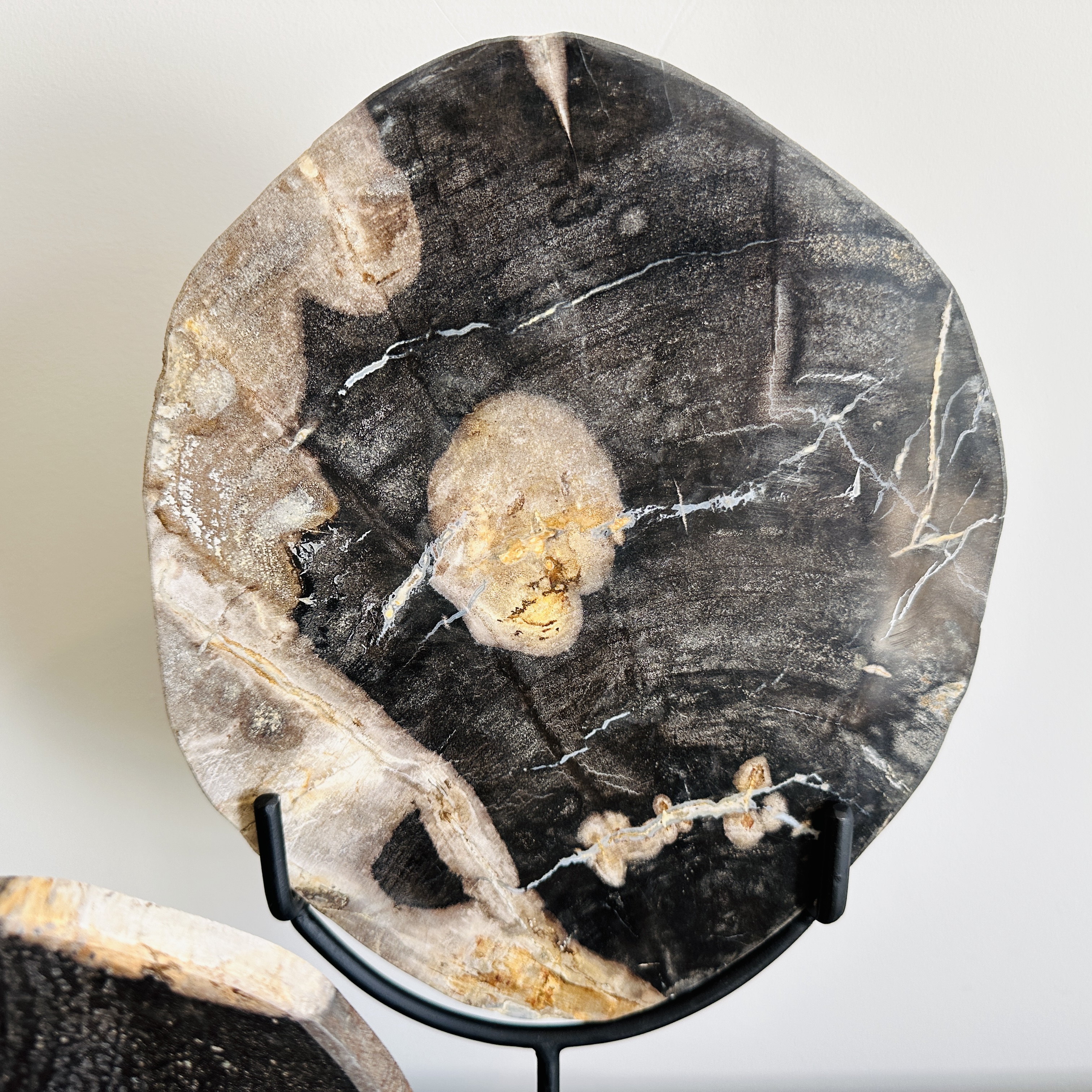 West Elm Petrified Wood Slices and Bookends with Faux Horn and More Home Accents