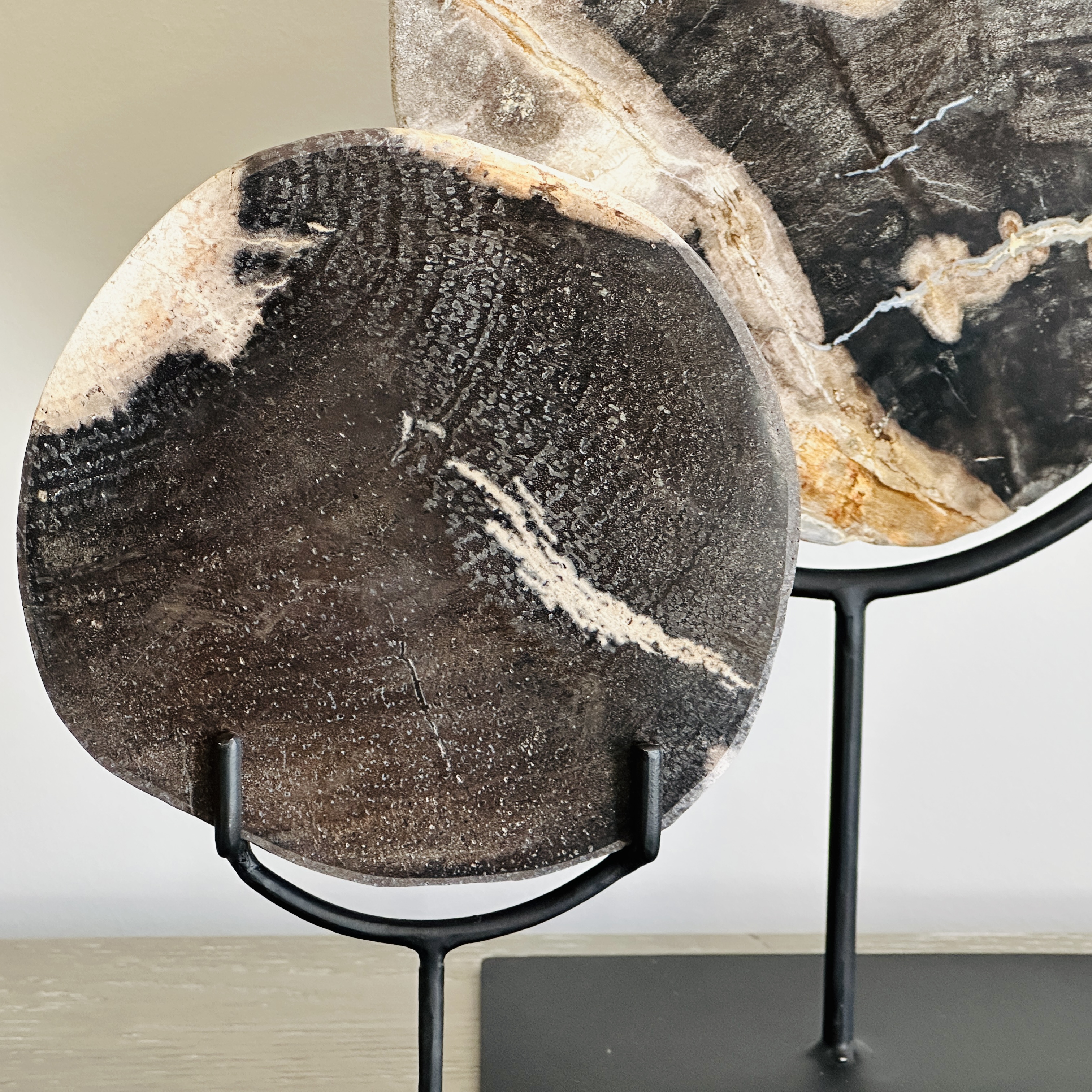 West Elm Petrified Wood Slices and Bookends with Faux Horn and More Home Accents