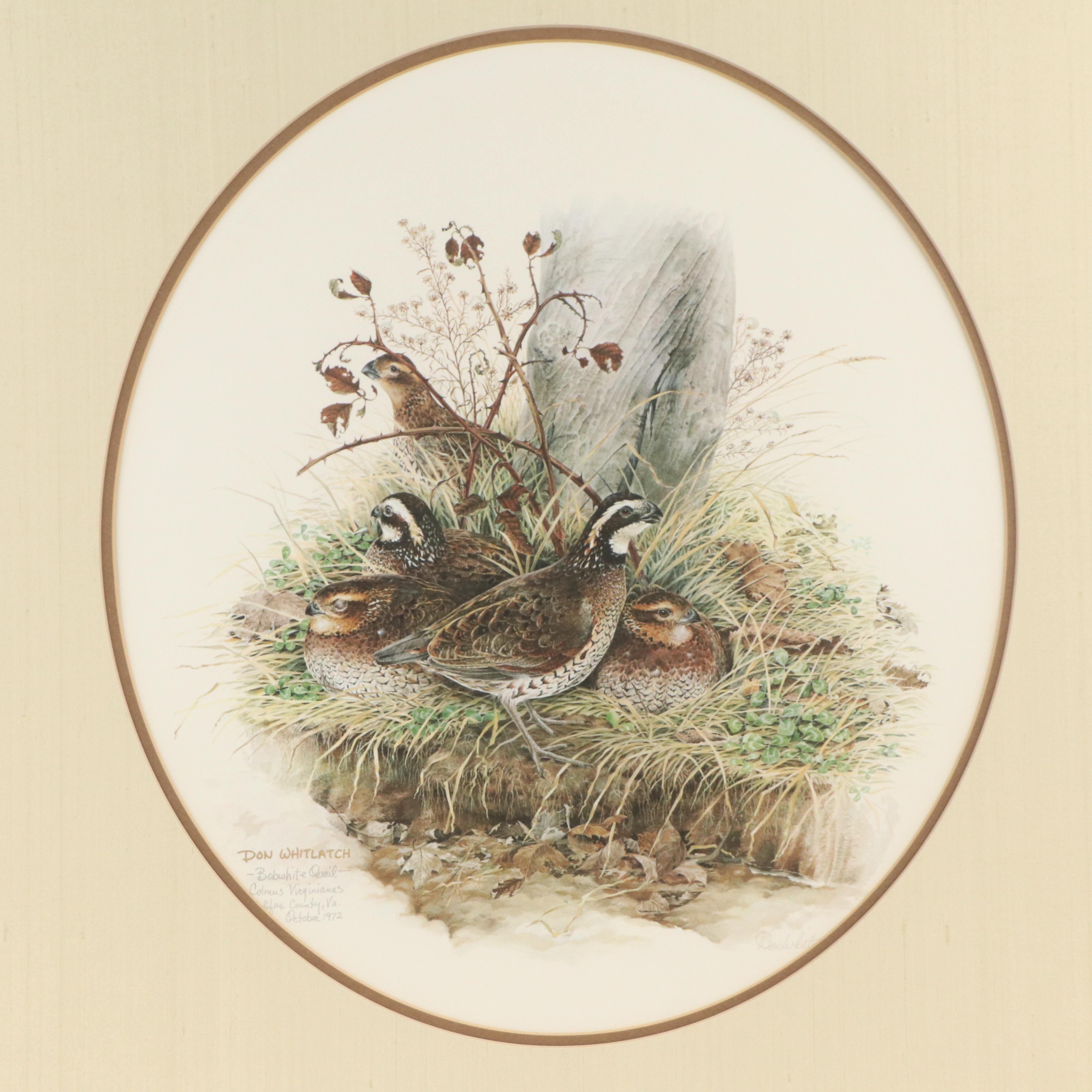 Don Whitlatch Offset Lithograph "Bobwhite Quail"