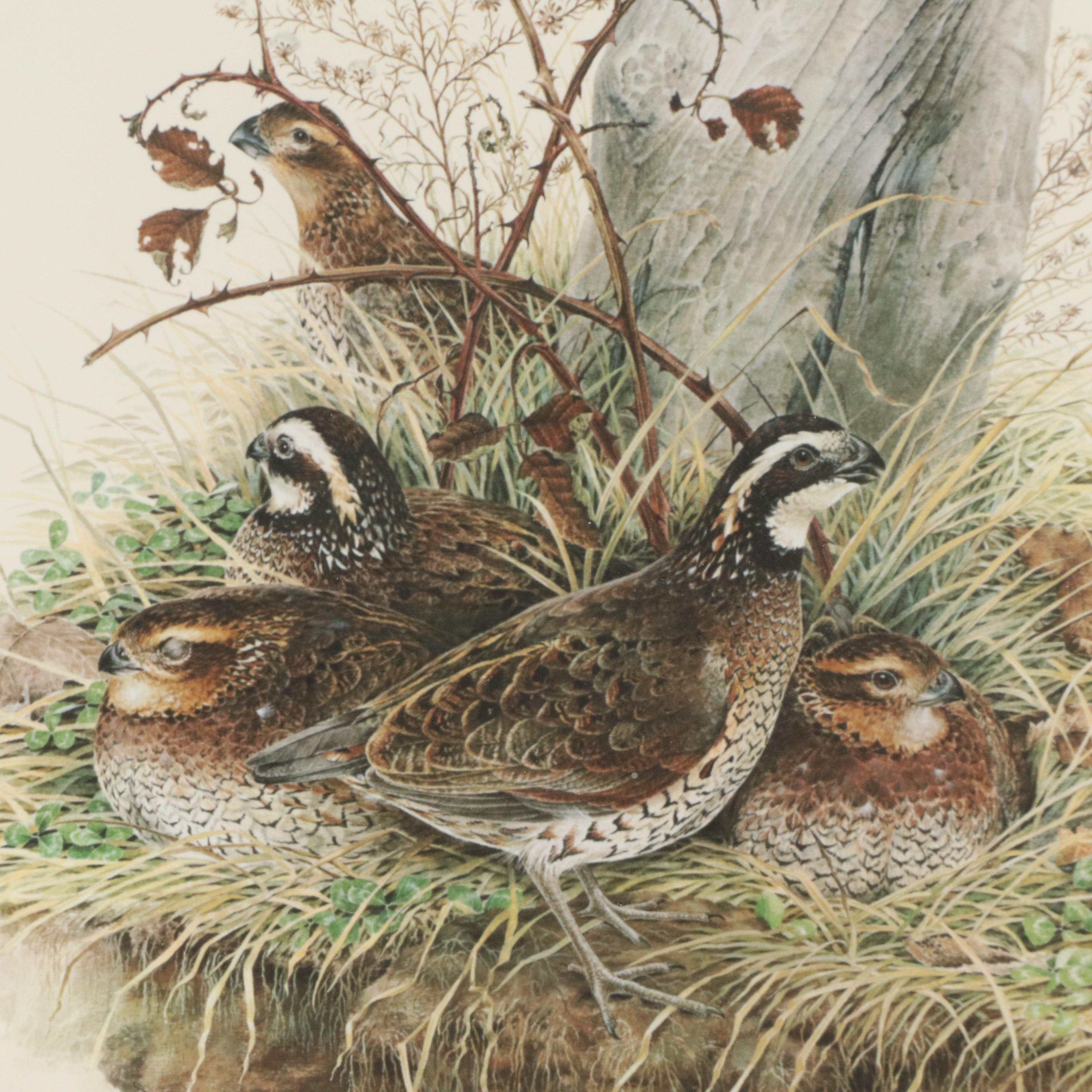 Don Whitlatch Offset Lithograph "Bobwhite Quail"