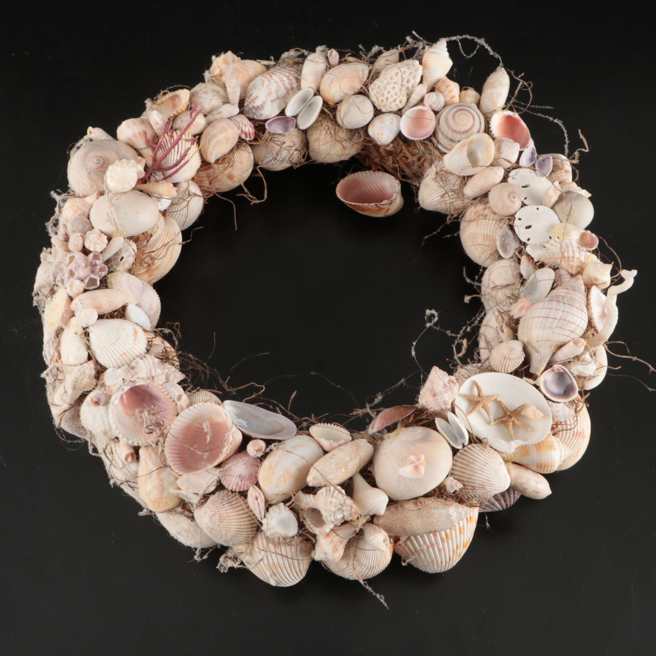 Tulip Shells, Sand Dollars, Fossil Tube Worm Shells, Seashell Wreath and More