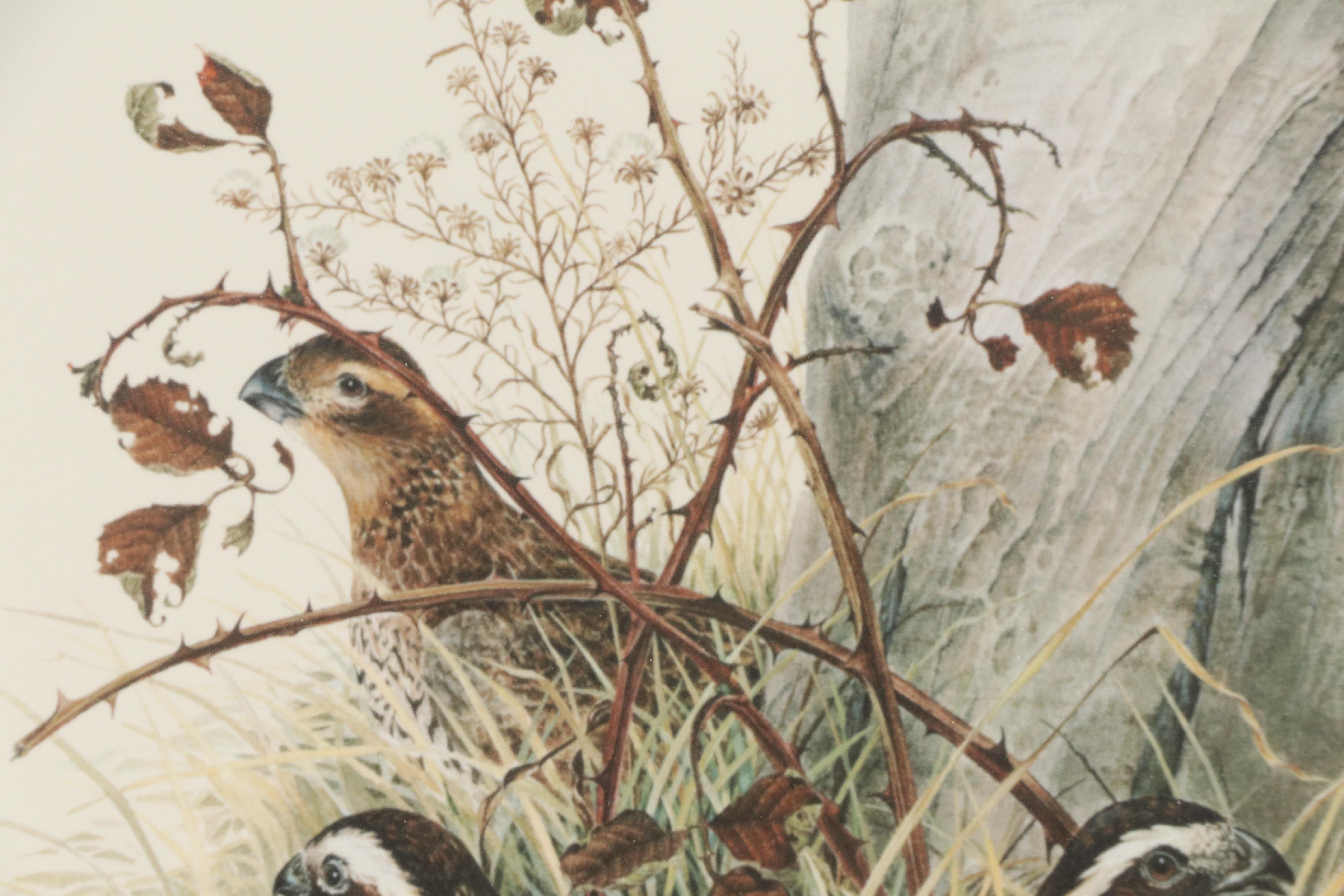 Don Whitlatch Offset Lithograph "Bobwhite Quail"