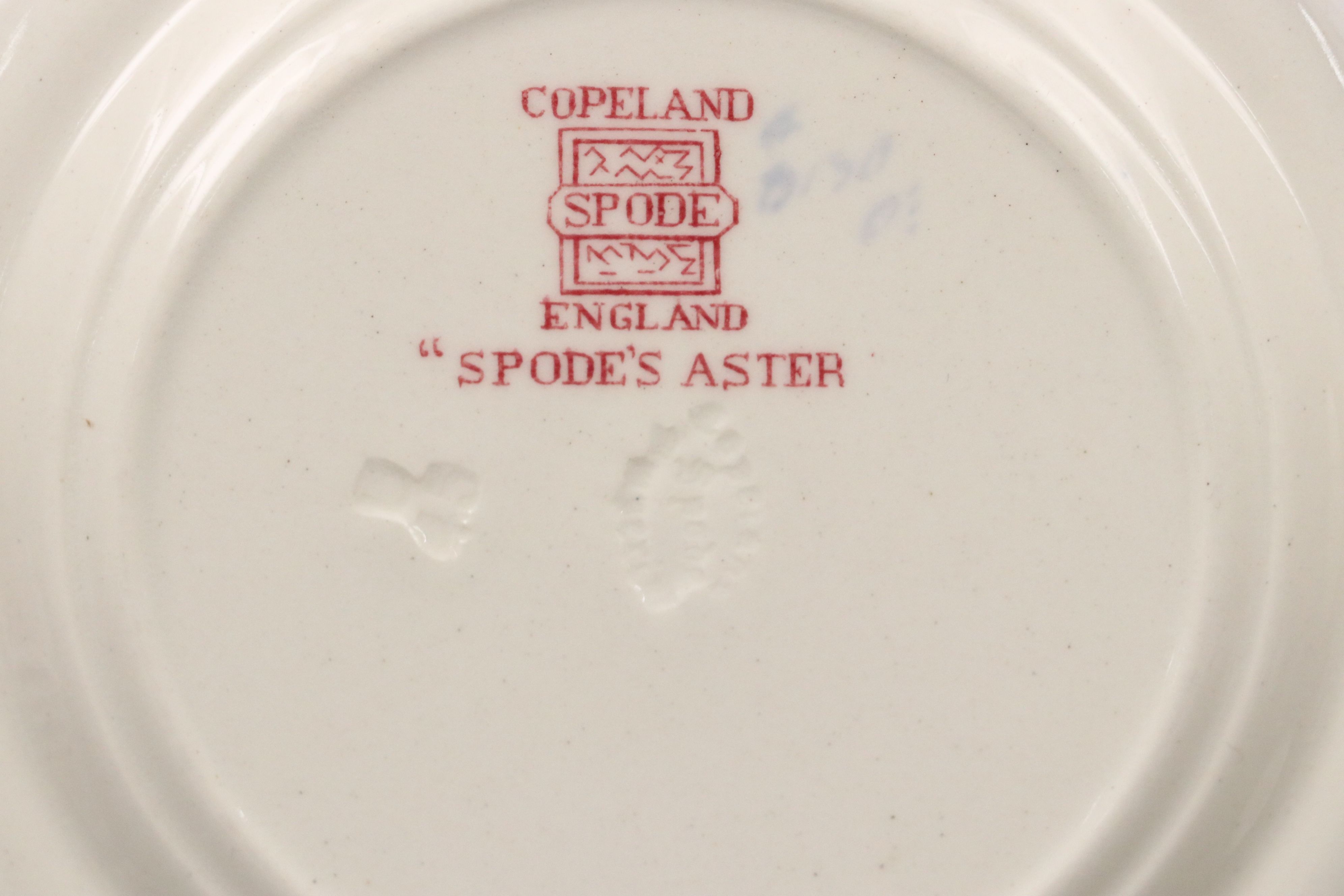 Copeland Spode "Spode's Aster" Dinnerware and Serving Pieces