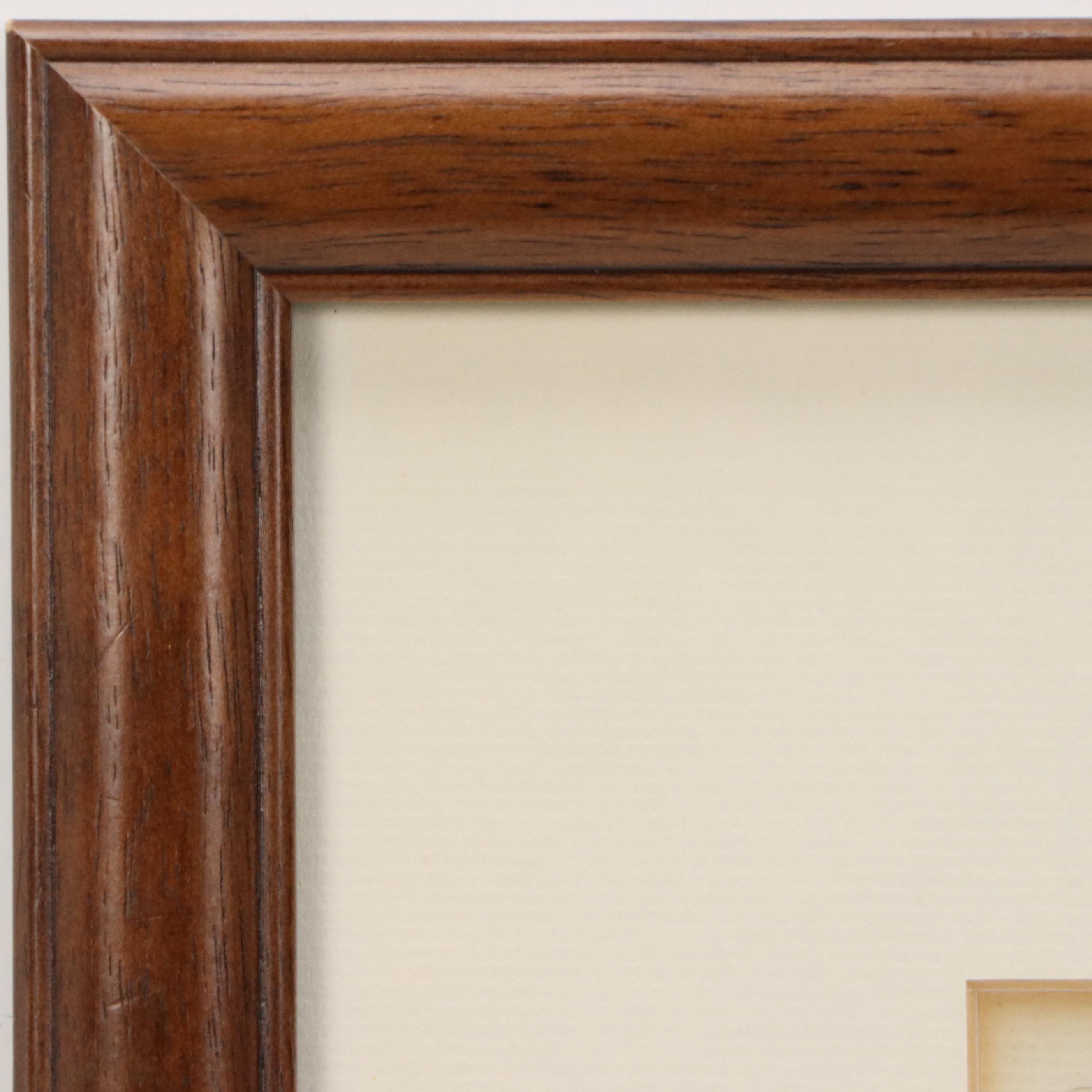 Antique Hand-Colored Botanical Engraving "Verbena Officinalis," Circa 1777