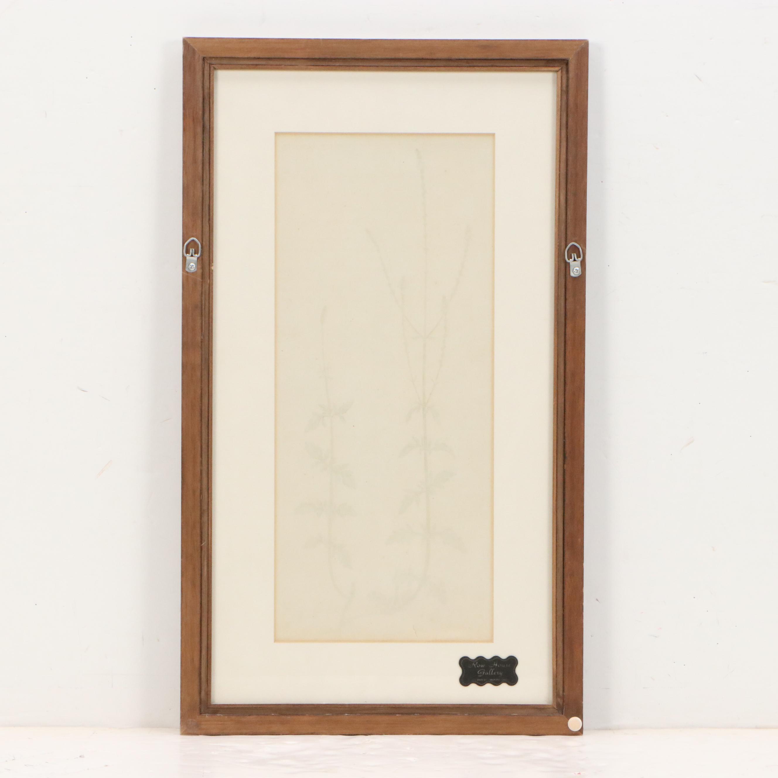 Antique Hand-Colored Botanical Engraving "Verbena Officinalis," Circa 1777