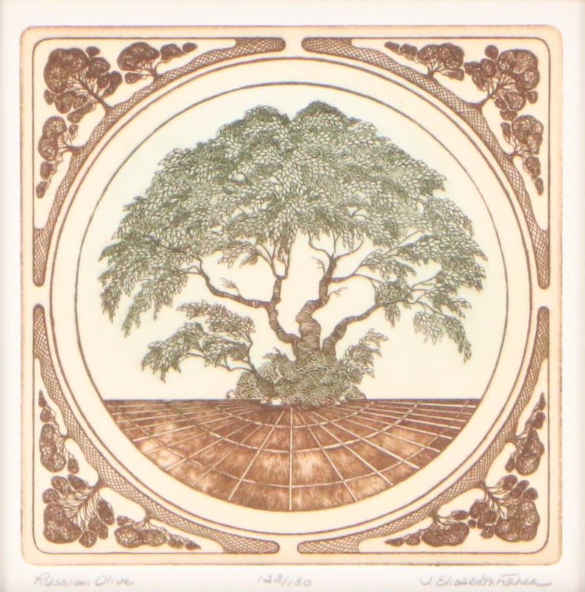 J. Elizabeth Fischer Color Etching "Russian Olive"