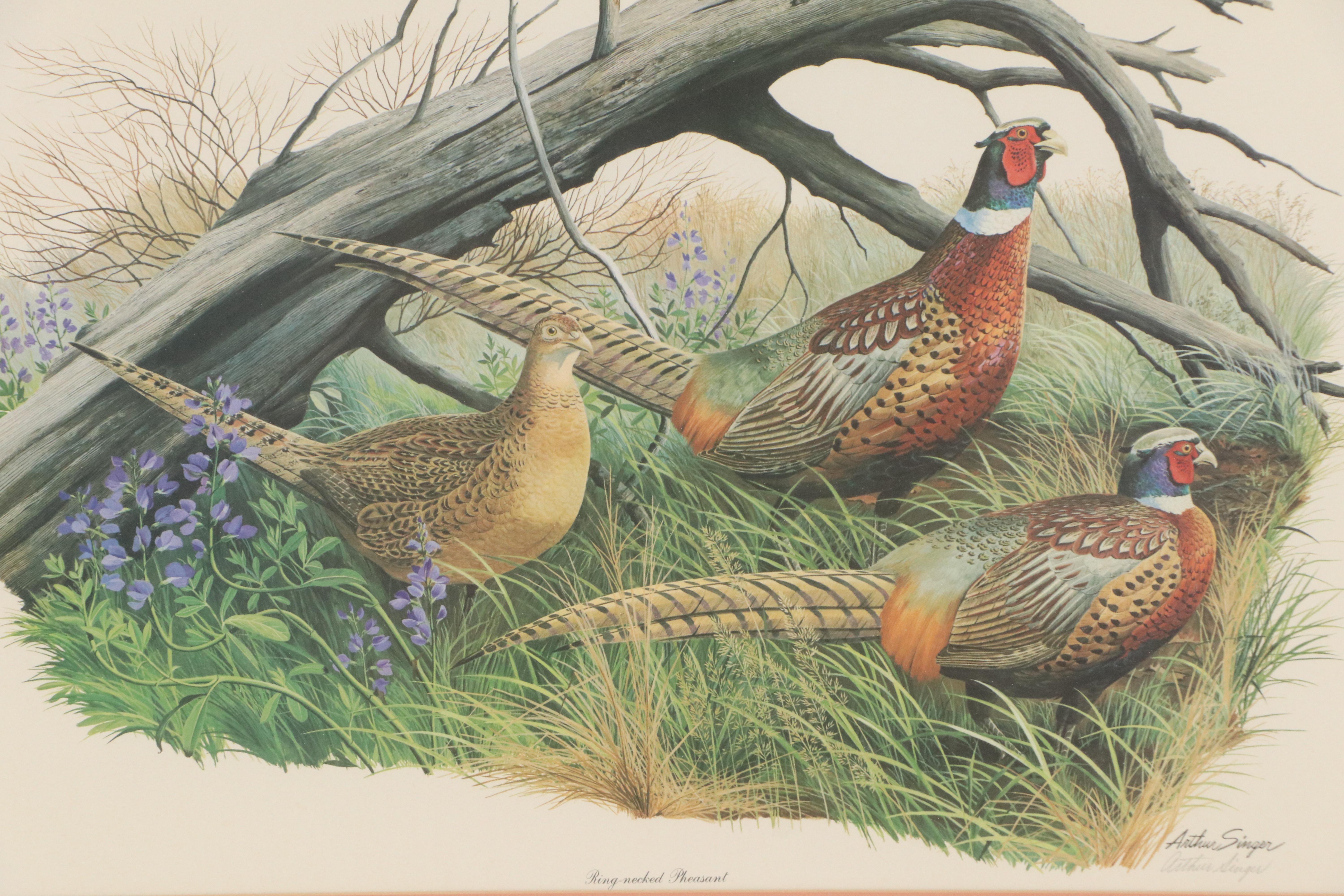 Arthur Singer Offset Lithograph "Ring-necked Pheasant"