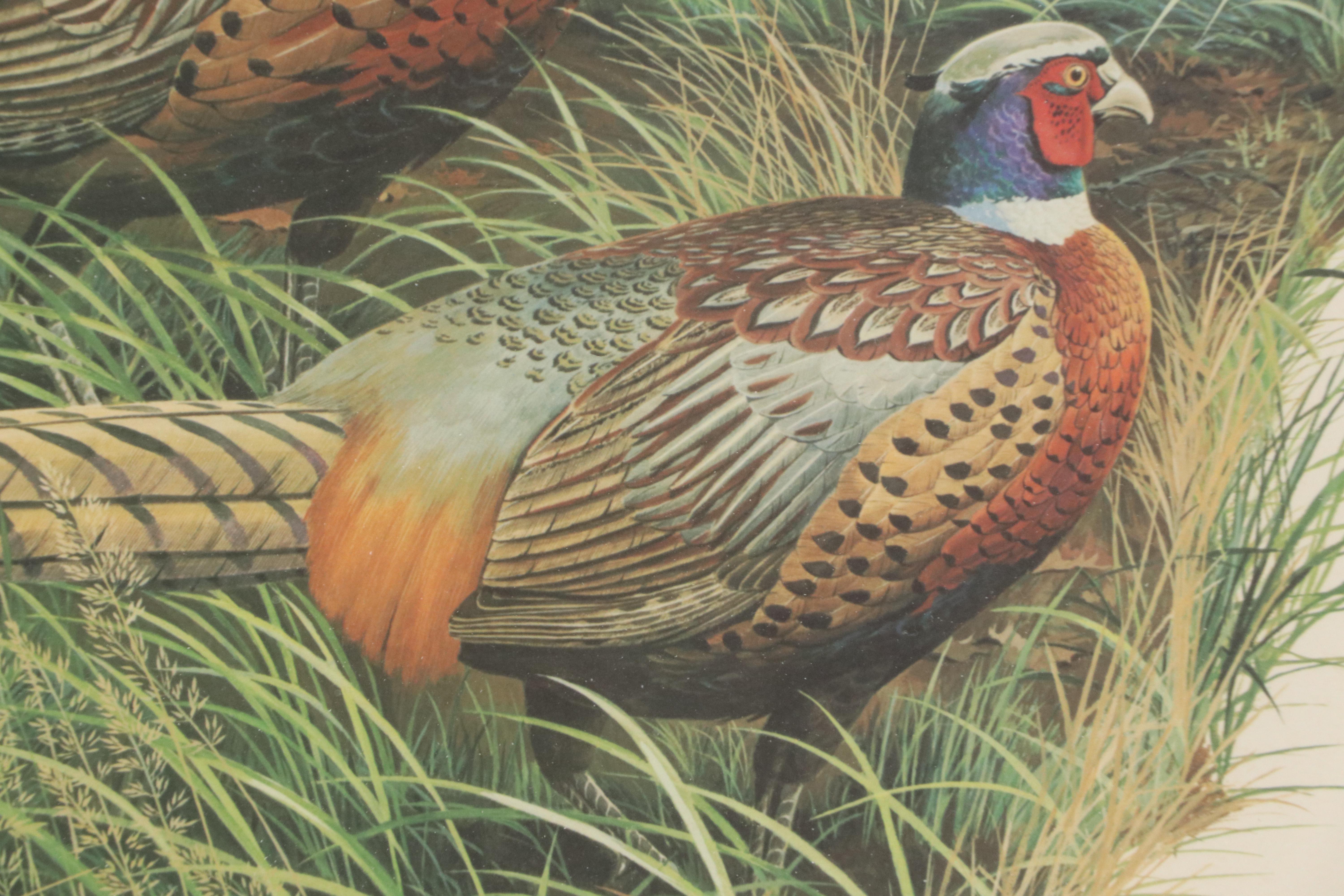 Arthur Singer Offset Lithograph "Ring-necked Pheasant"