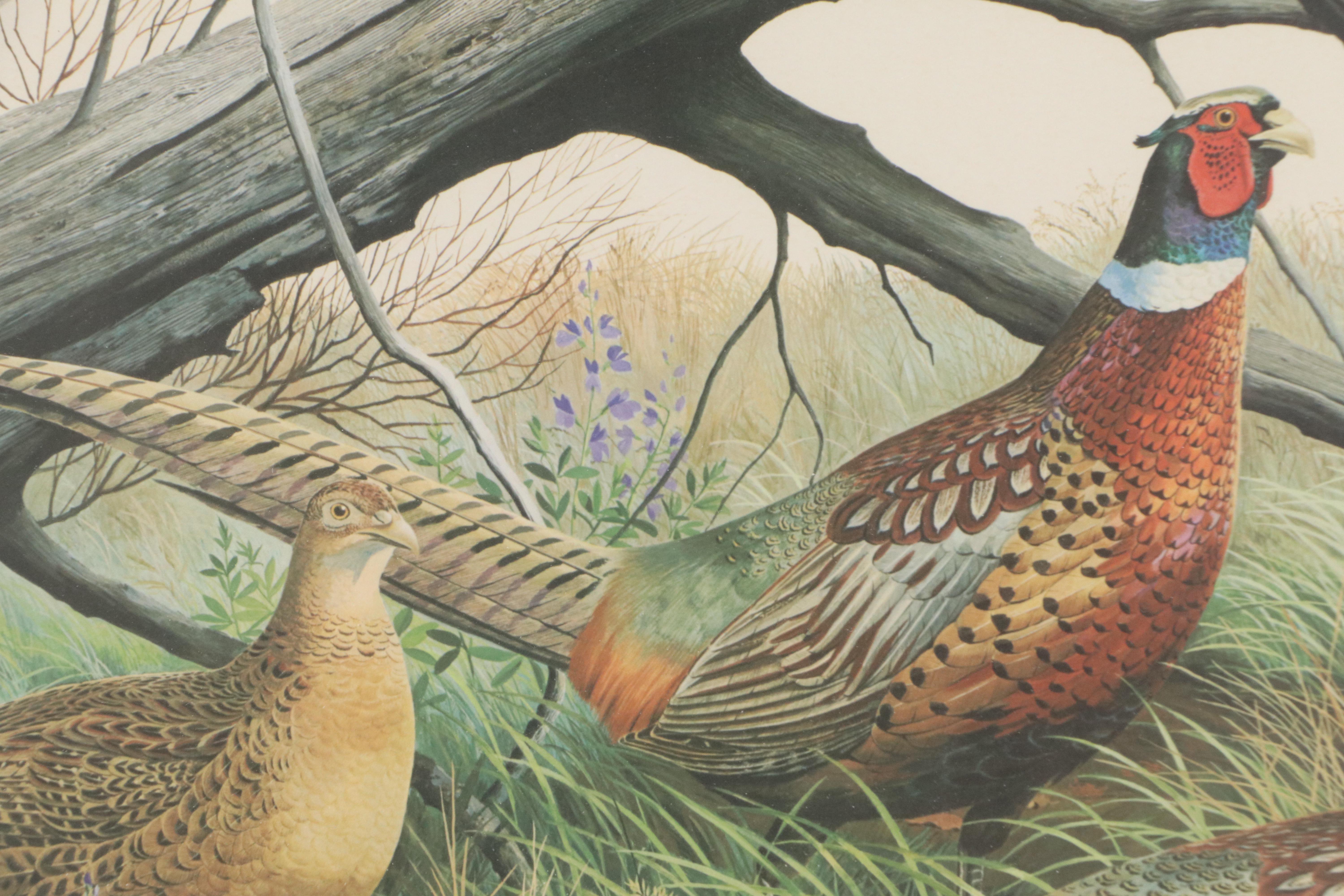 Arthur Singer Offset Lithograph "Ring-necked Pheasant"