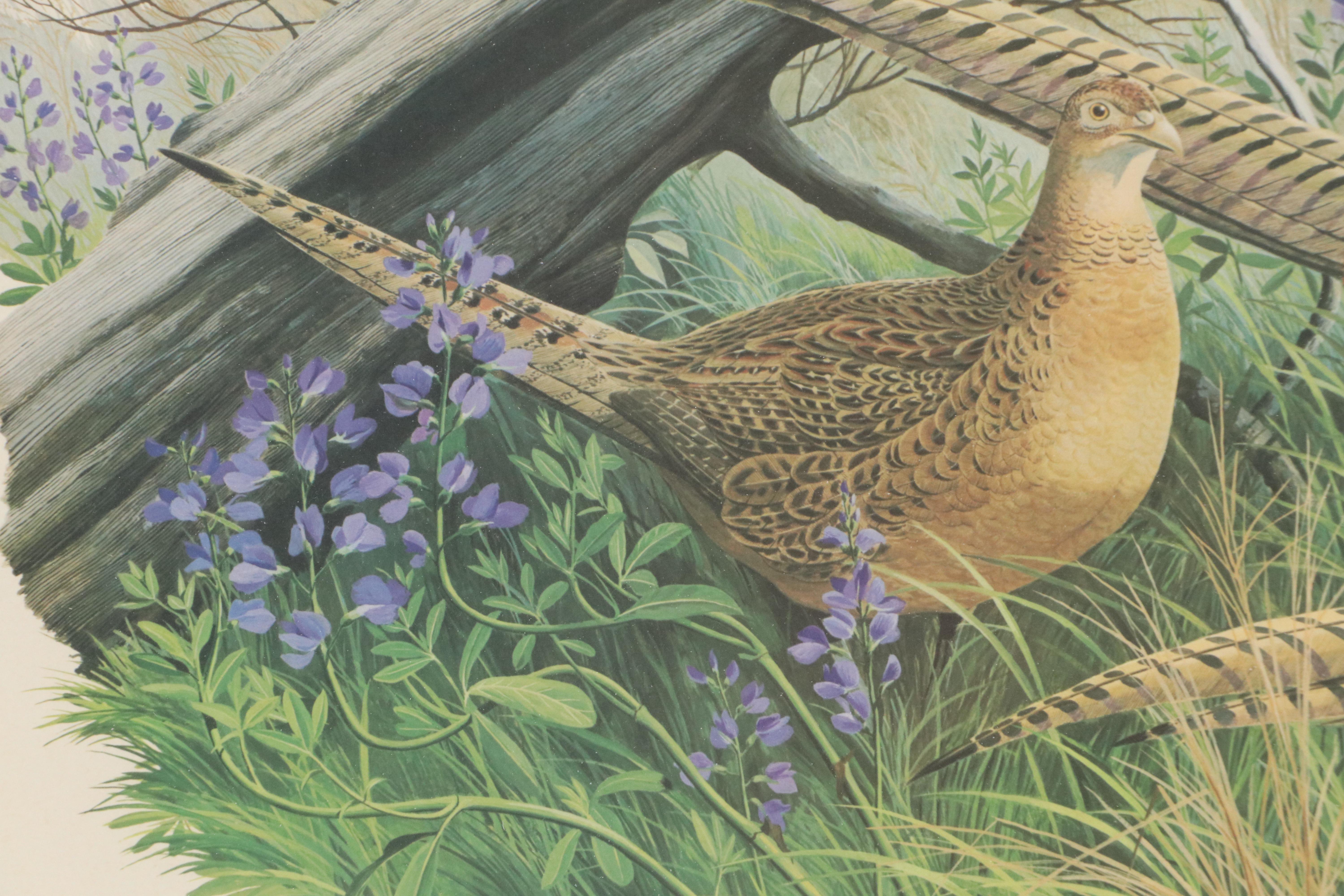Arthur Singer Offset Lithograph "Ring-necked Pheasant"