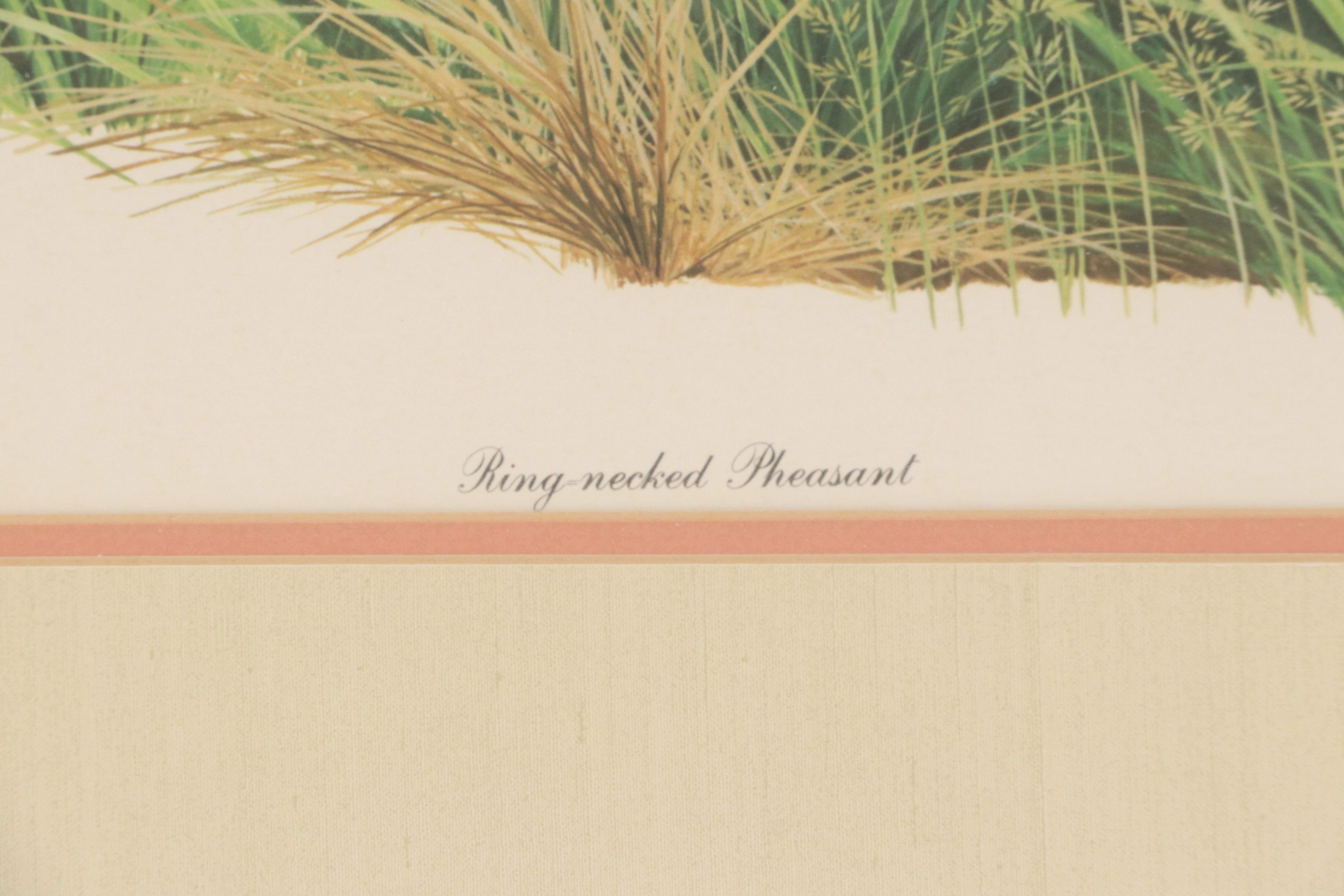 Arthur Singer Offset Lithograph "Ring-necked Pheasant"