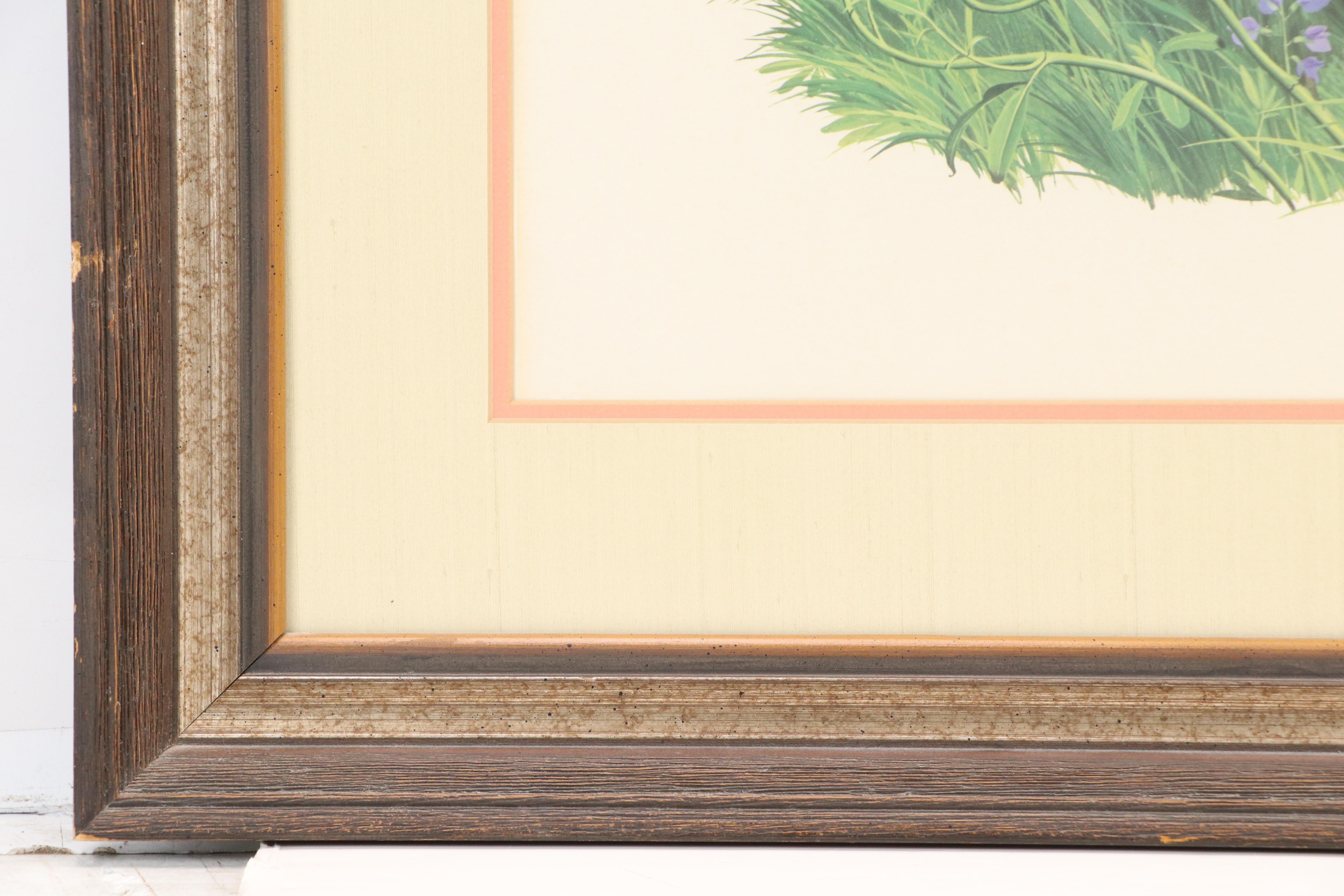 Arthur Singer Offset Lithograph "Ring-necked Pheasant"