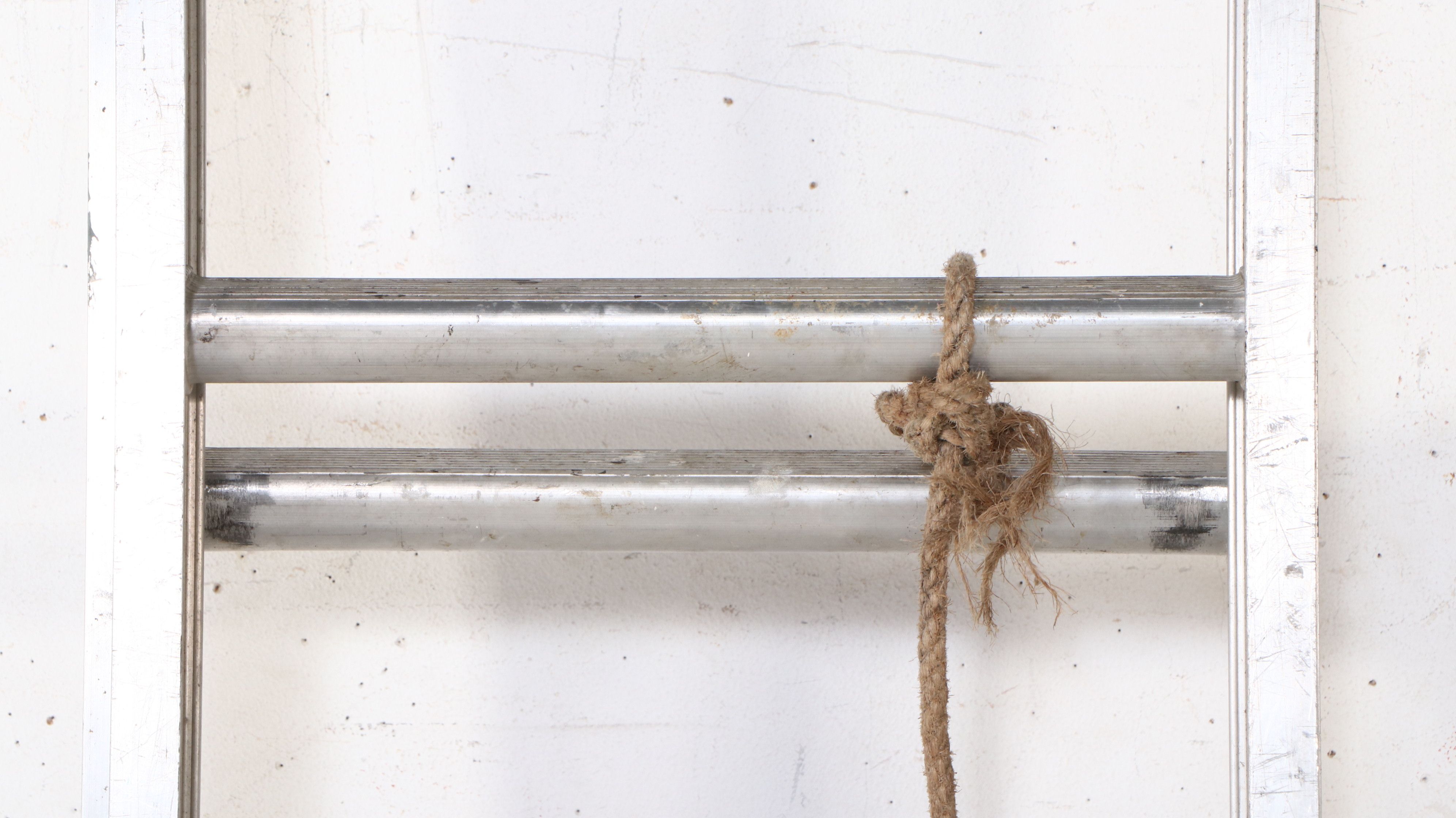 Aluminum Extension Ladder and Wood Step Ladder