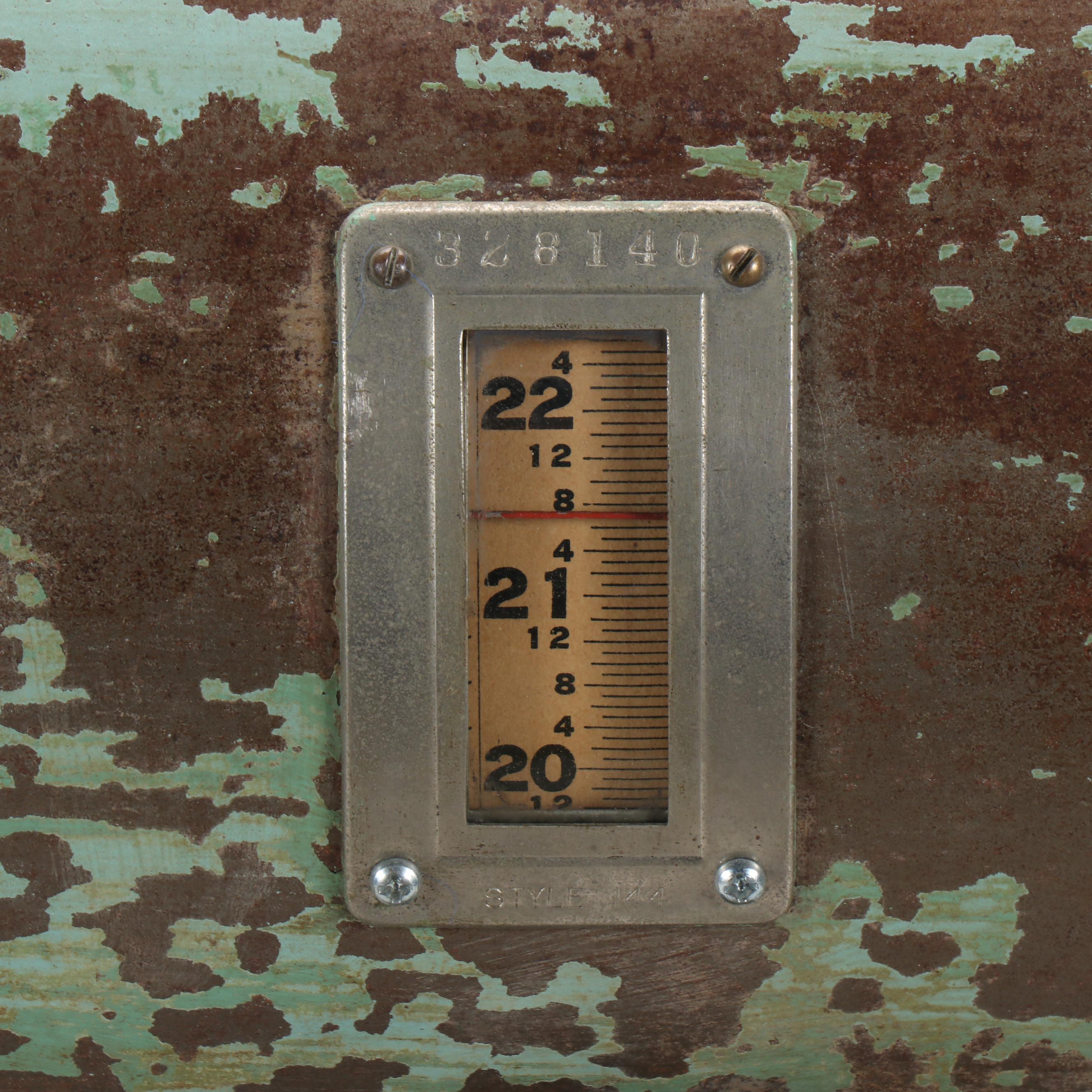 Polychrome Cast Iron Scale