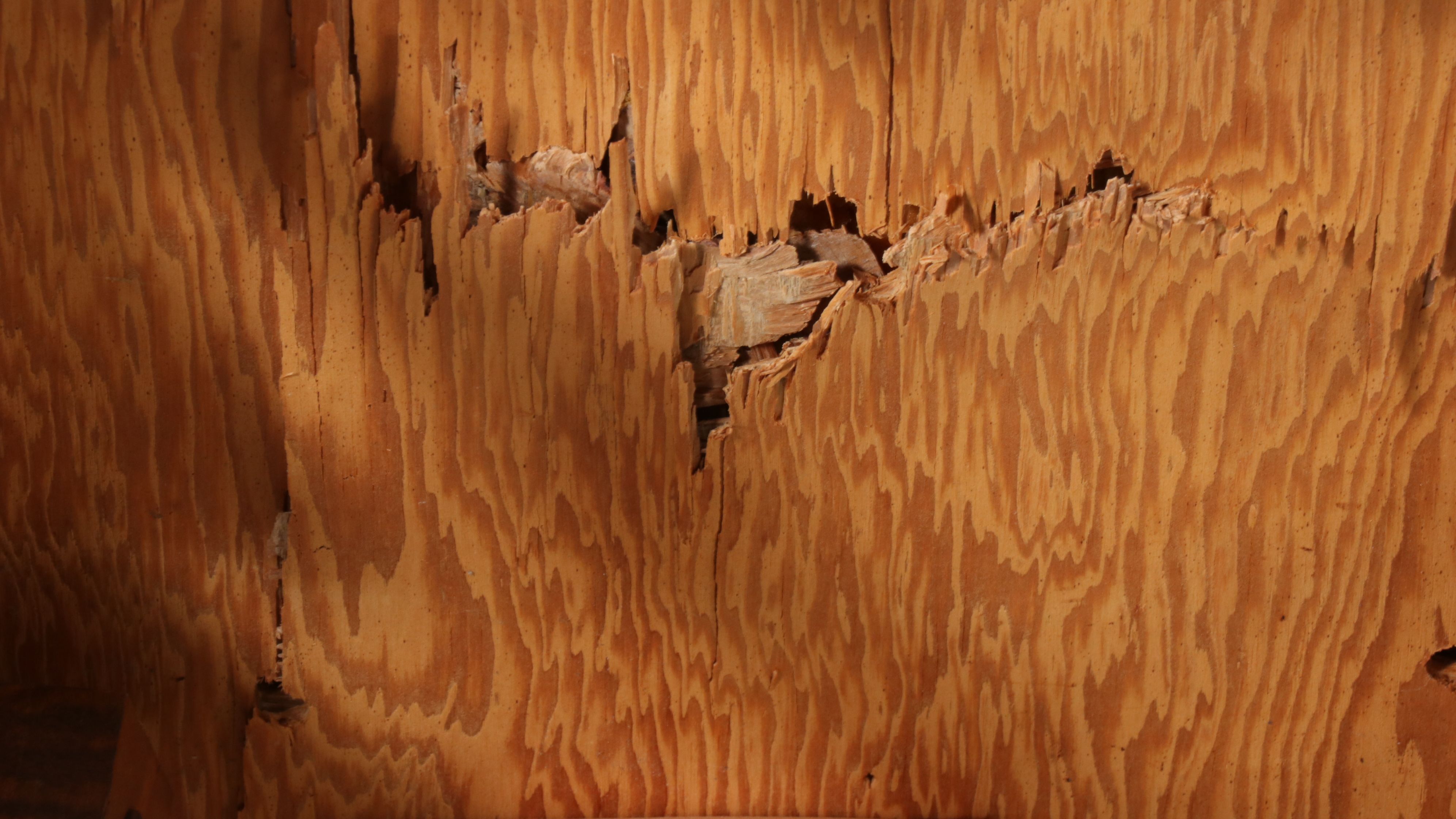 Dormalux Co. Early American Style Dining Set