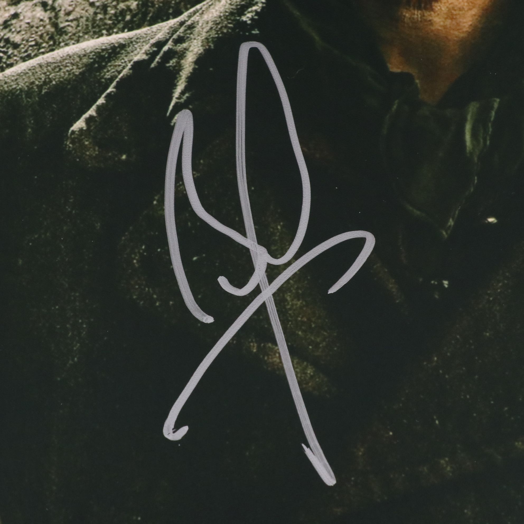 Brad Pitt Signed "Inglourious Basterds" Movie Print, Beckett