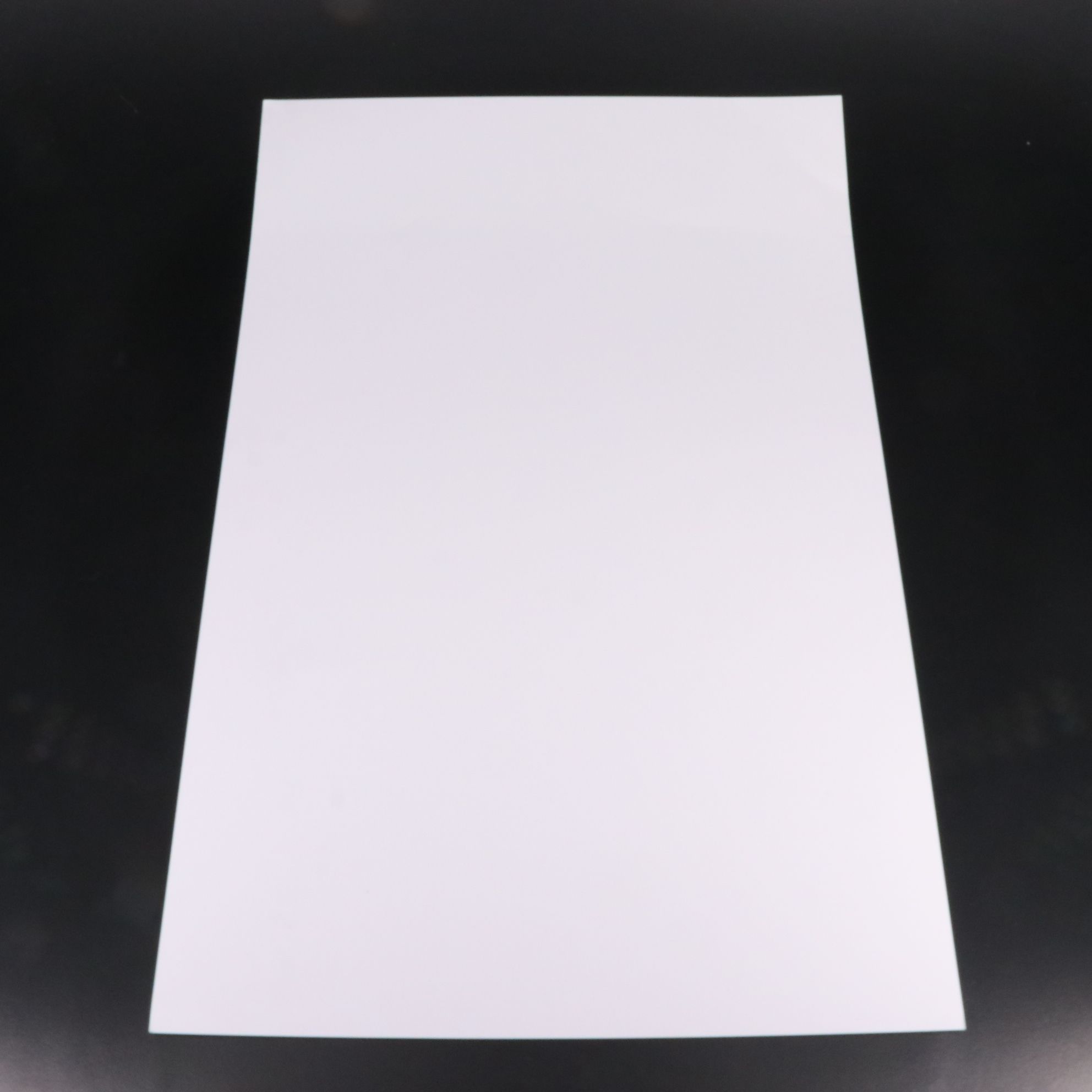 Chevy Chase Signed "National Lampoon's Christmas Vacation" Print, Beckett