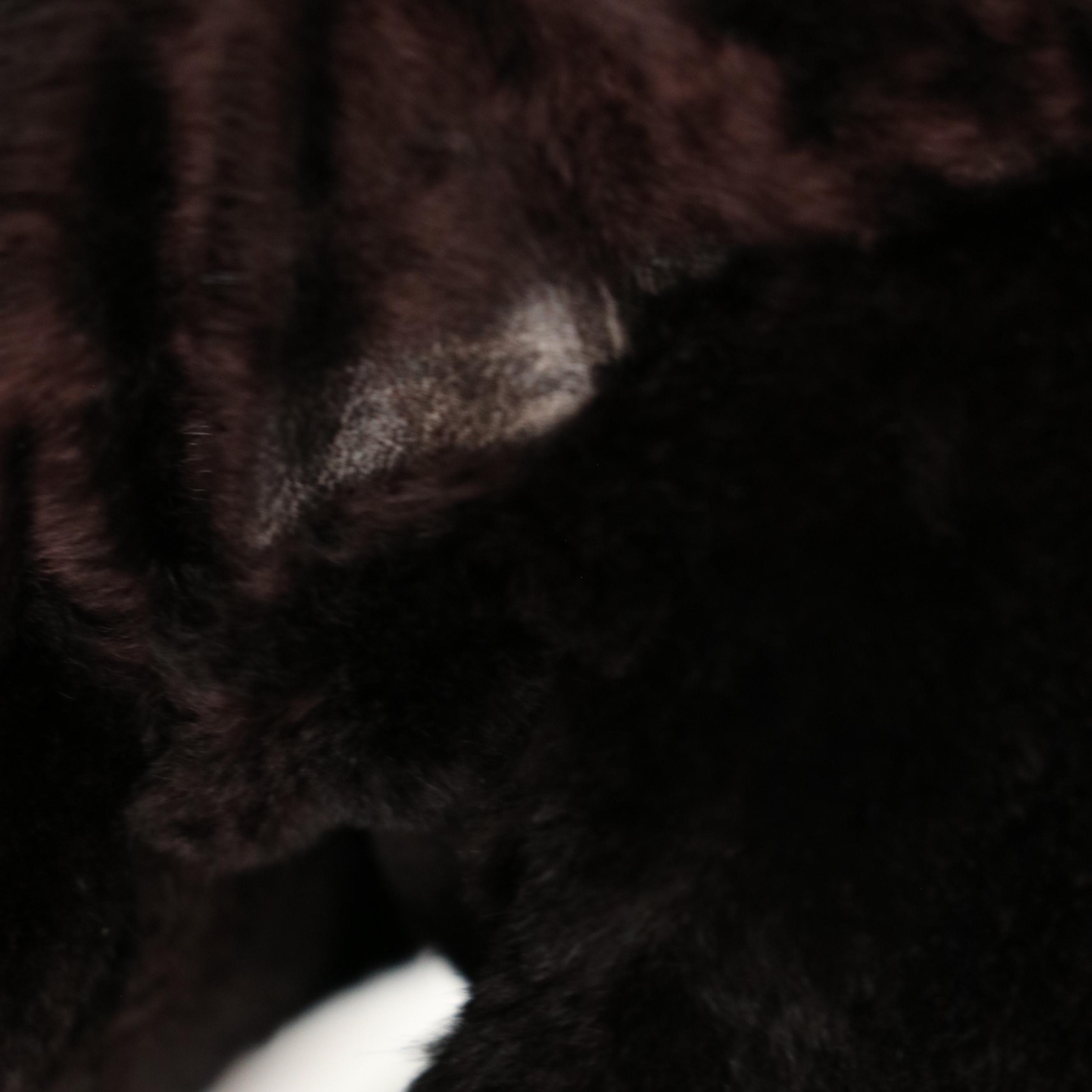 Reversible Sheared Beaver Fur/Leather Stroller Coat with Fox Fur Collar