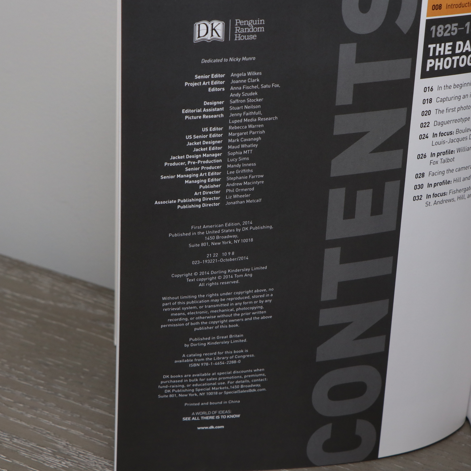 Made on Earth "Sweet Disposition I" Framed Print with Accent Lamps and Books