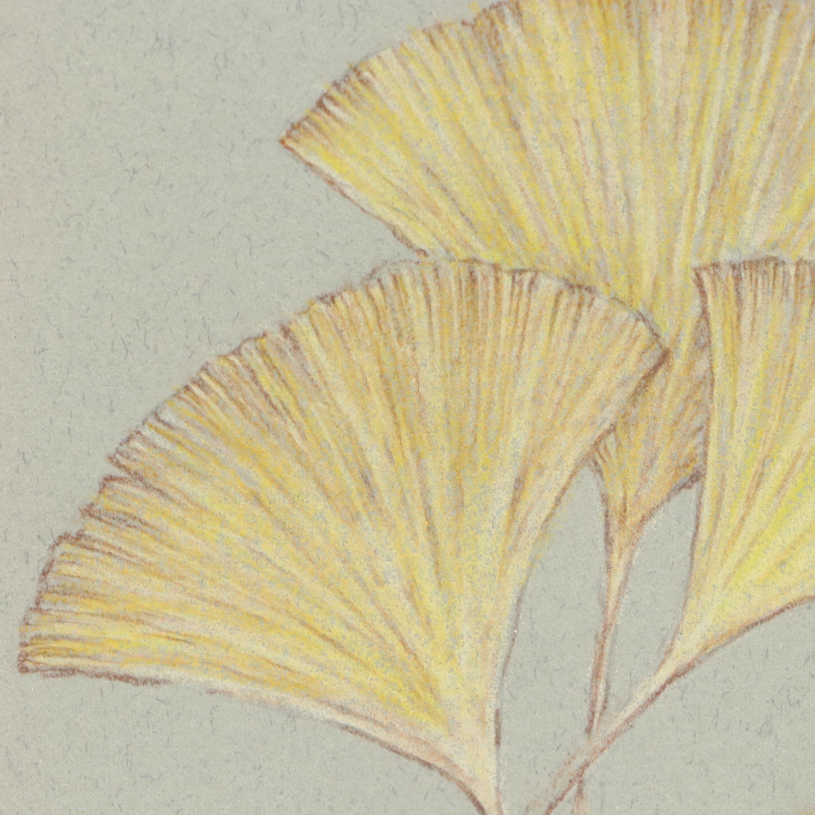 Marilu Tousignaut Colored Pencil Drawing of Ginkgo Leaves, Circa 2000