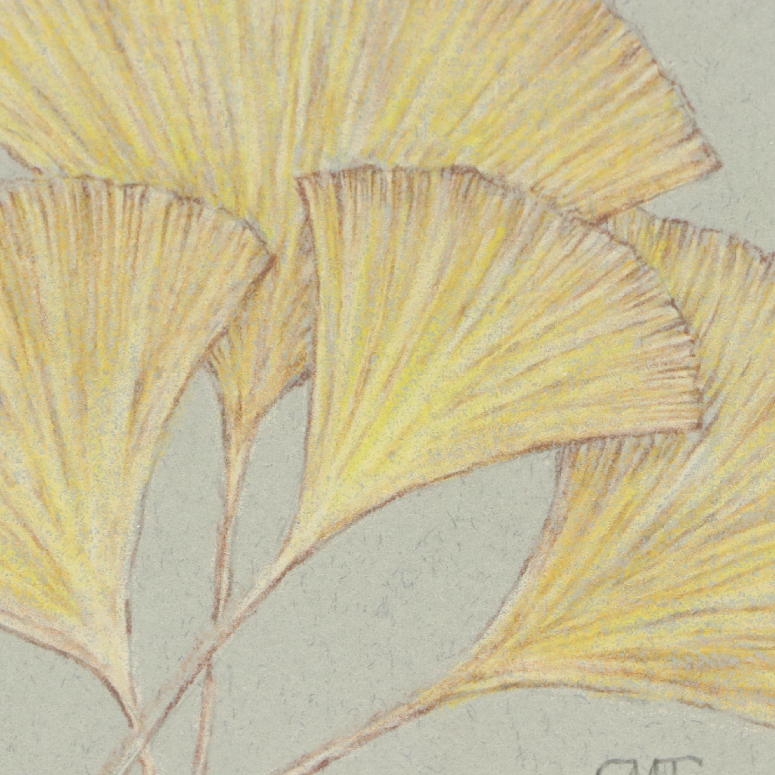 Marilu Tousignaut Colored Pencil Drawing of Ginkgo Leaves, Circa 2000