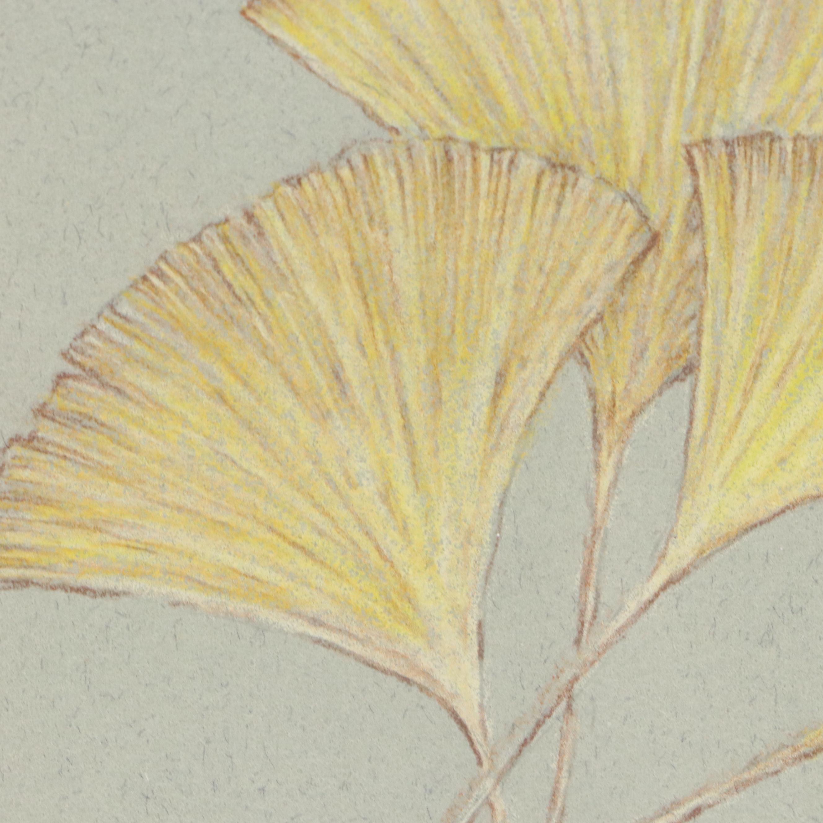 Marilu Tousignaut Colored Pencil Drawing of Ginkgo Leaves, Circa 2000