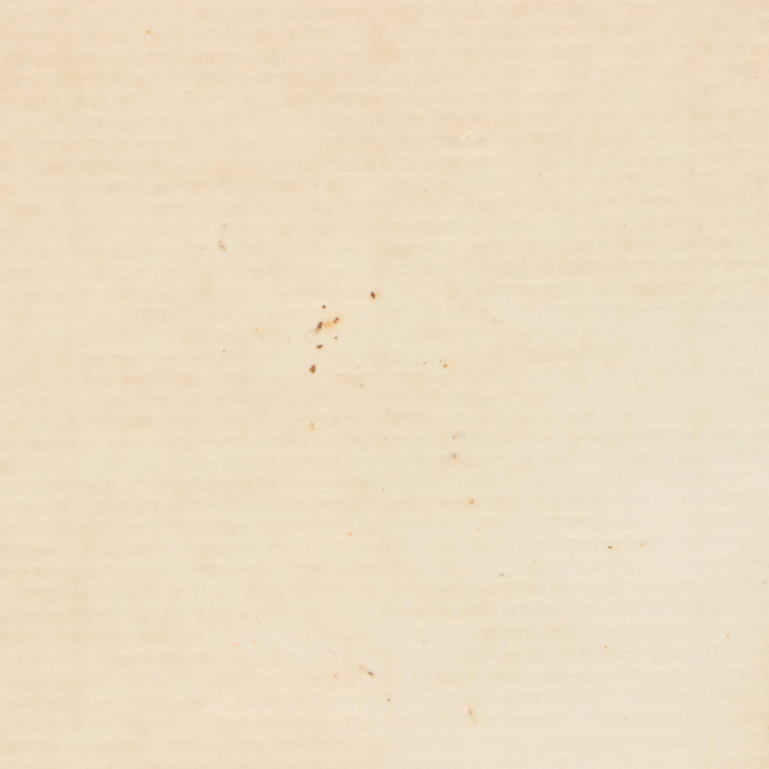 Deborah Shannon Watercolor and Ink Rooster, 1983