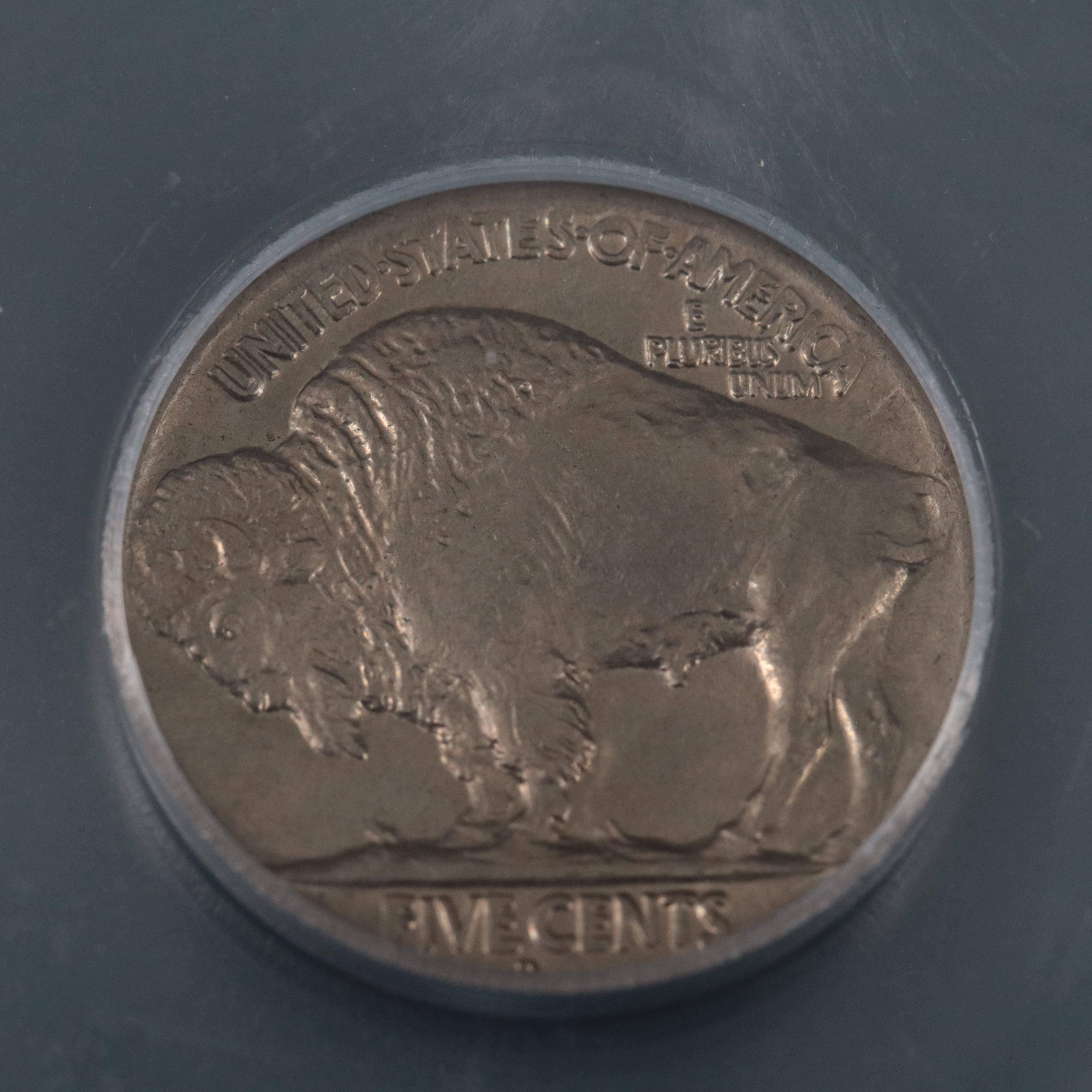 ICG Graded MS65 1929-D Buffalo Nickel