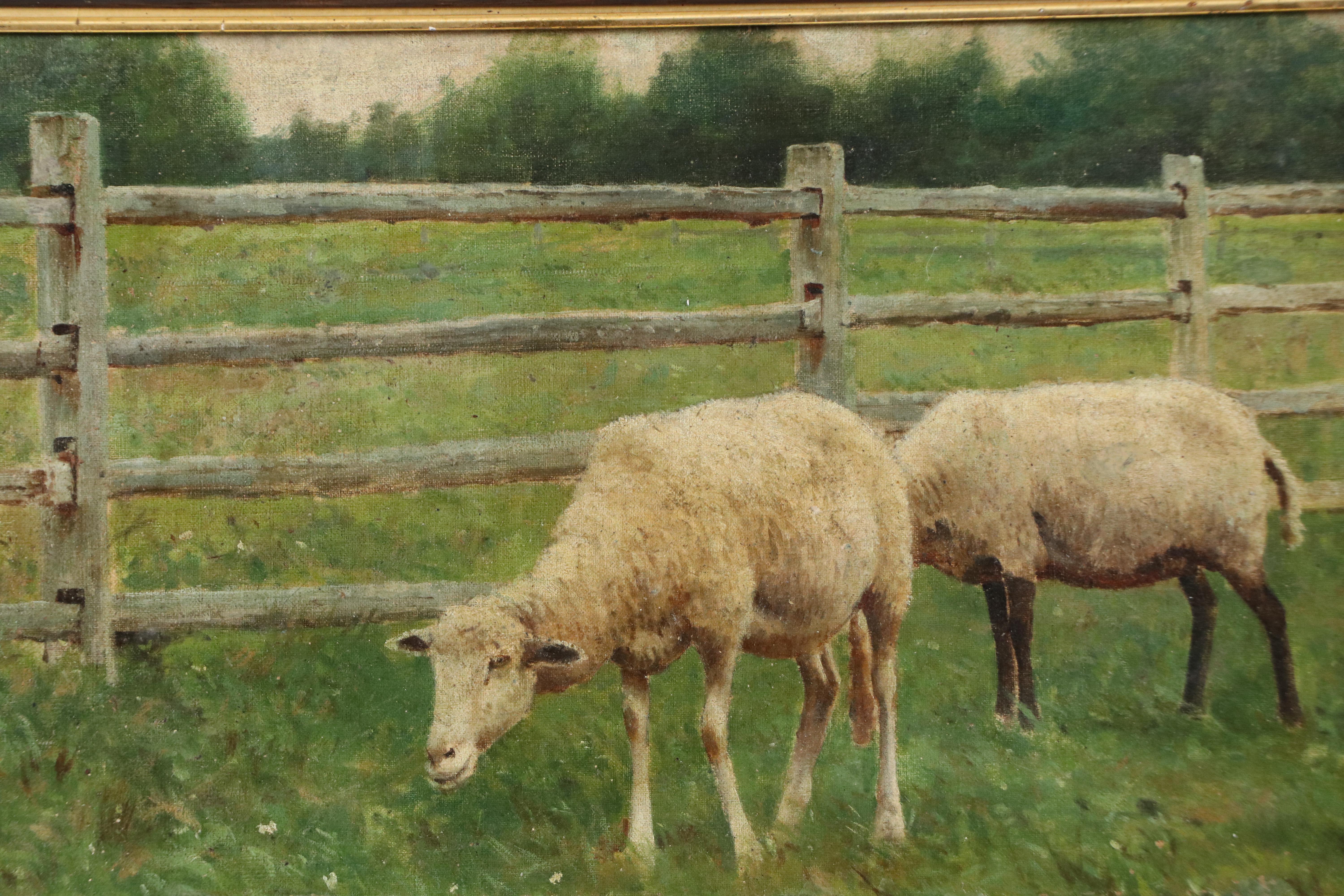 Oil Painting of Grazing Sheep