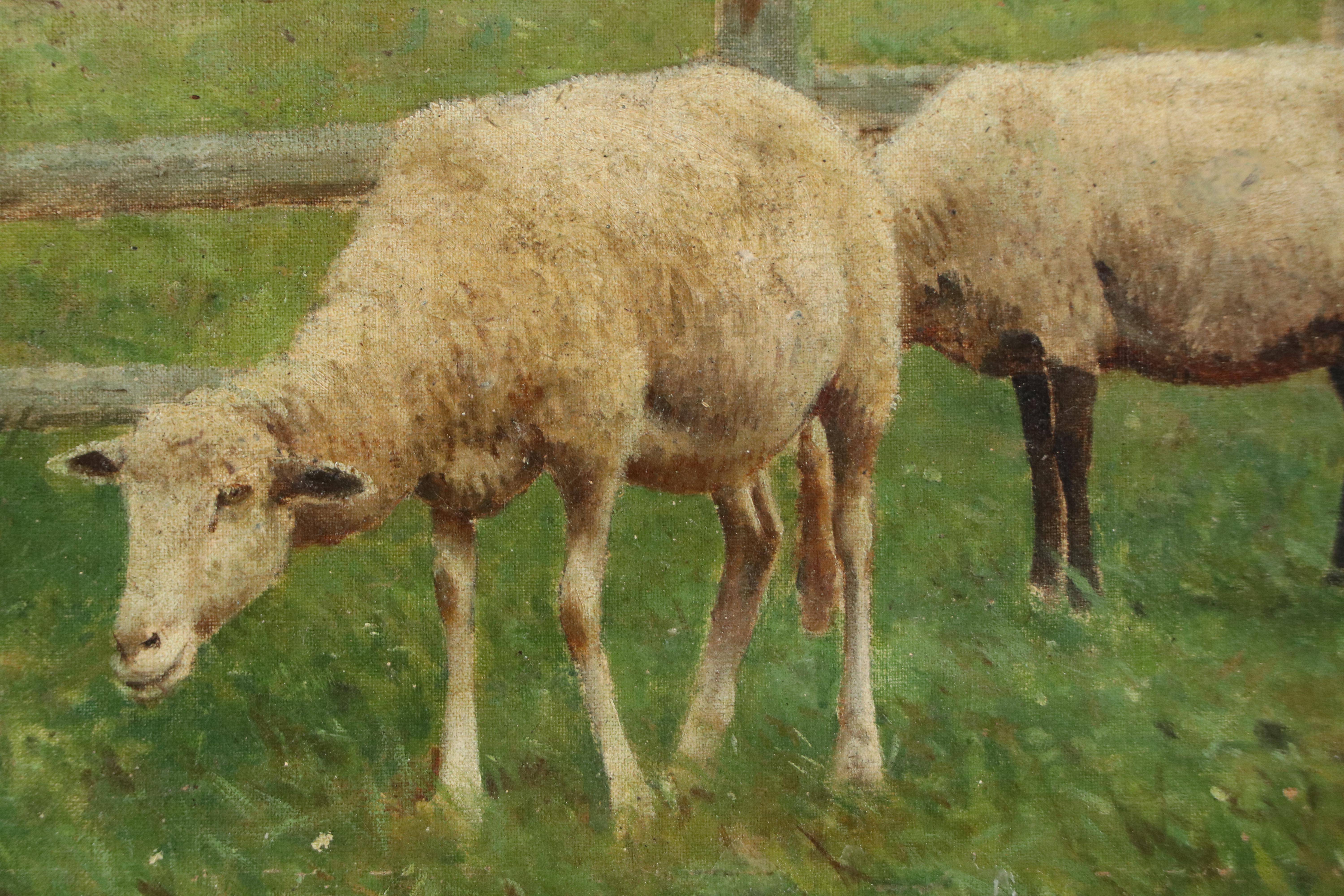 Oil Painting of Grazing Sheep