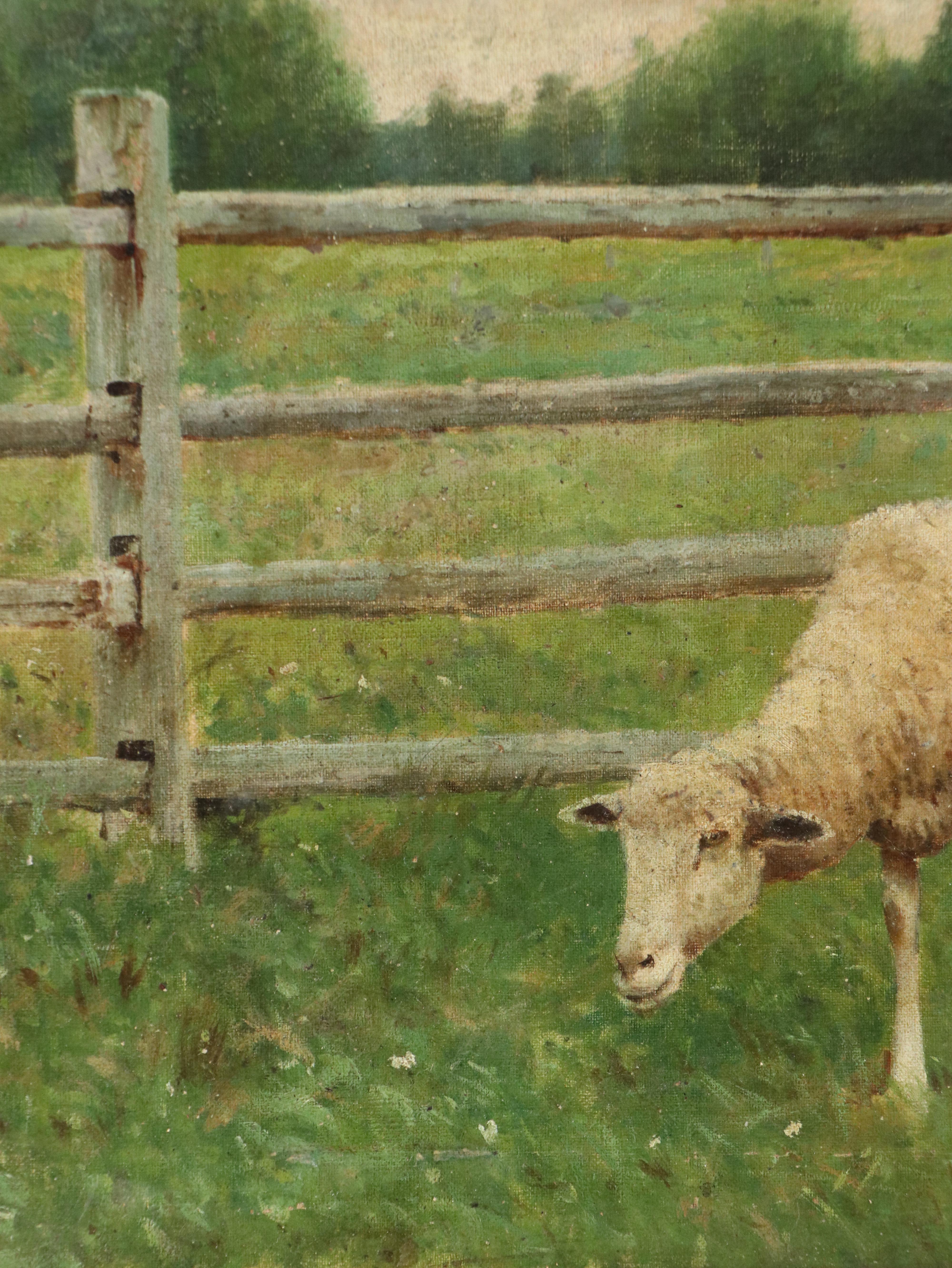 Oil Painting of Grazing Sheep
