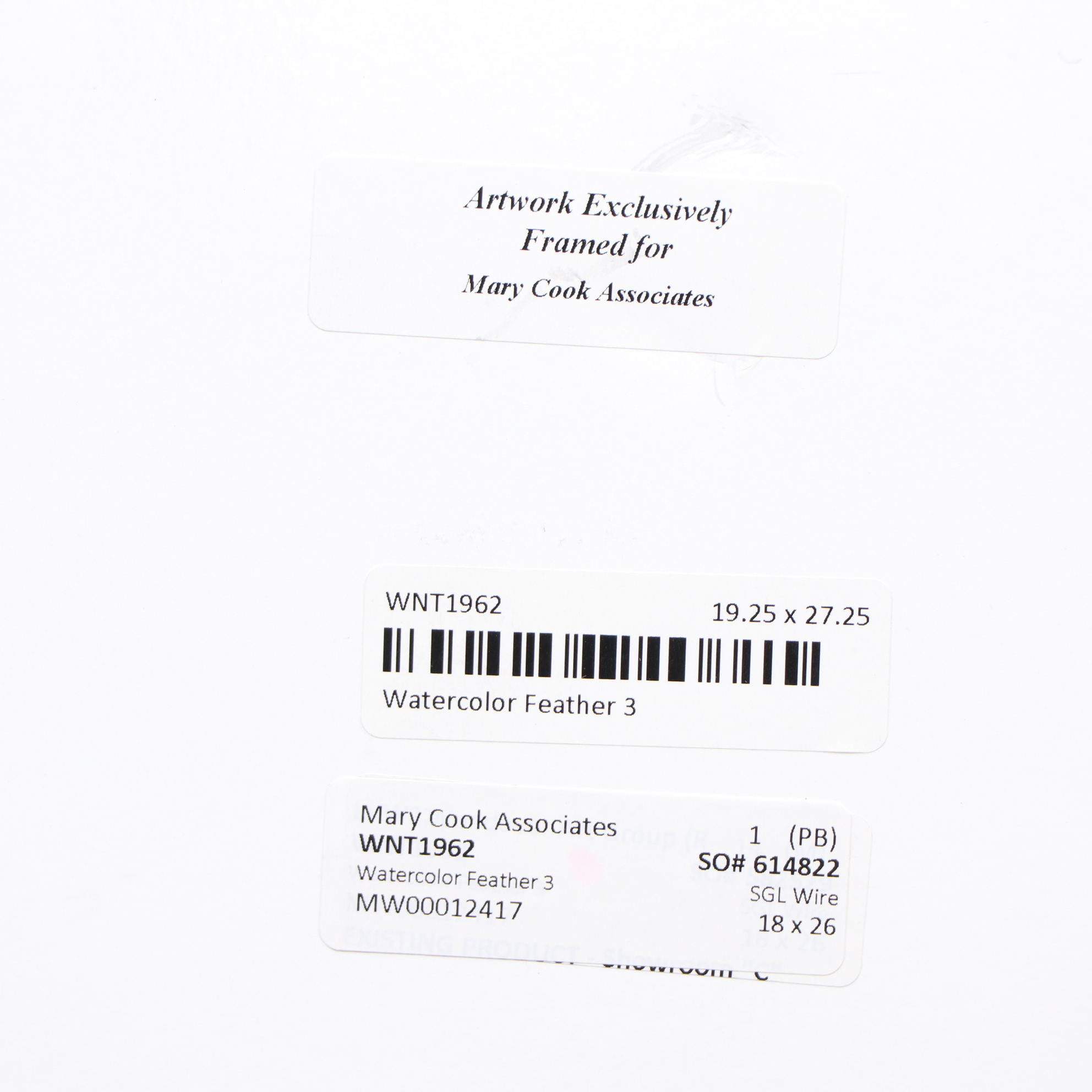 Pair of Modernist Style Giclées of Feathers in Frames