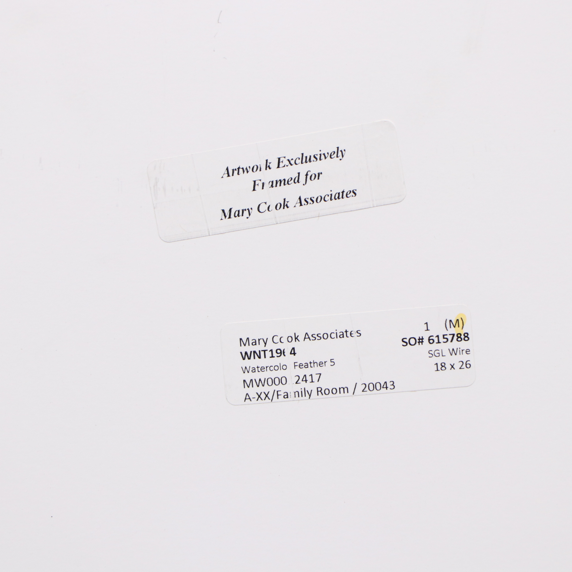 Pair of Modernist Style Giclées of Feathers in Frames