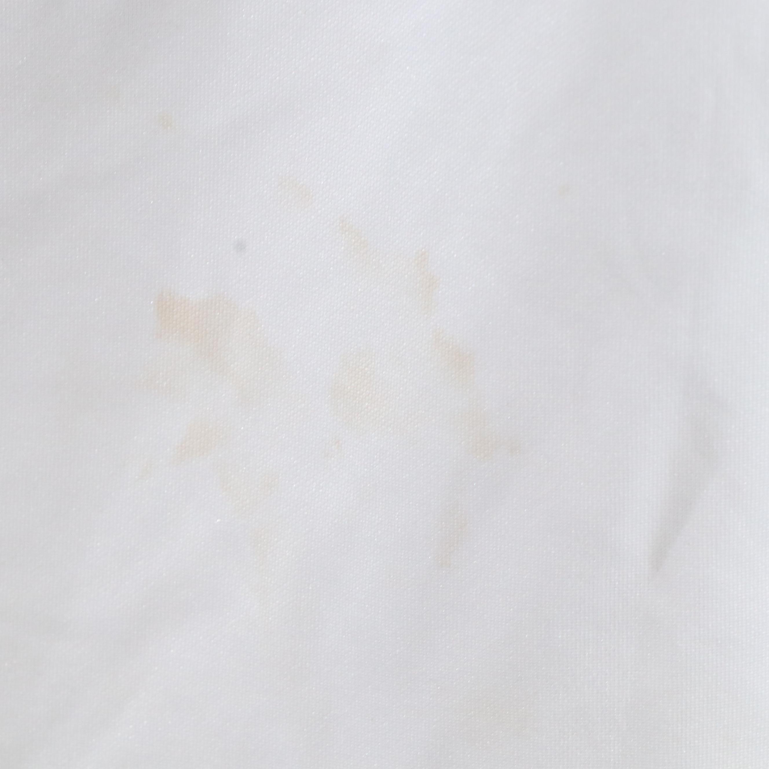 Duck Dynasty, Billie Ellish, and Other Themed T-Shirts, with More