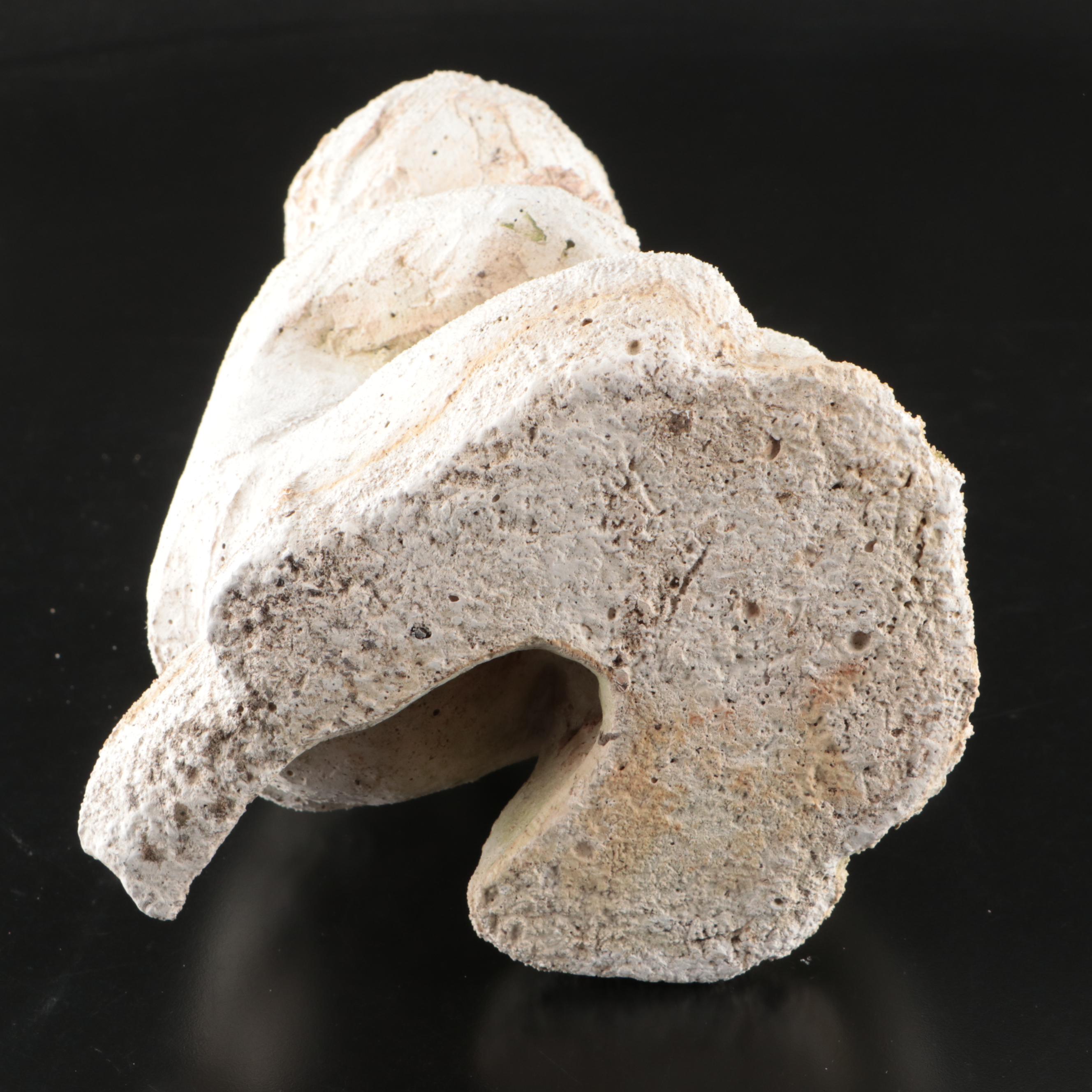 Child with Dog Concrete Garden Sculpture