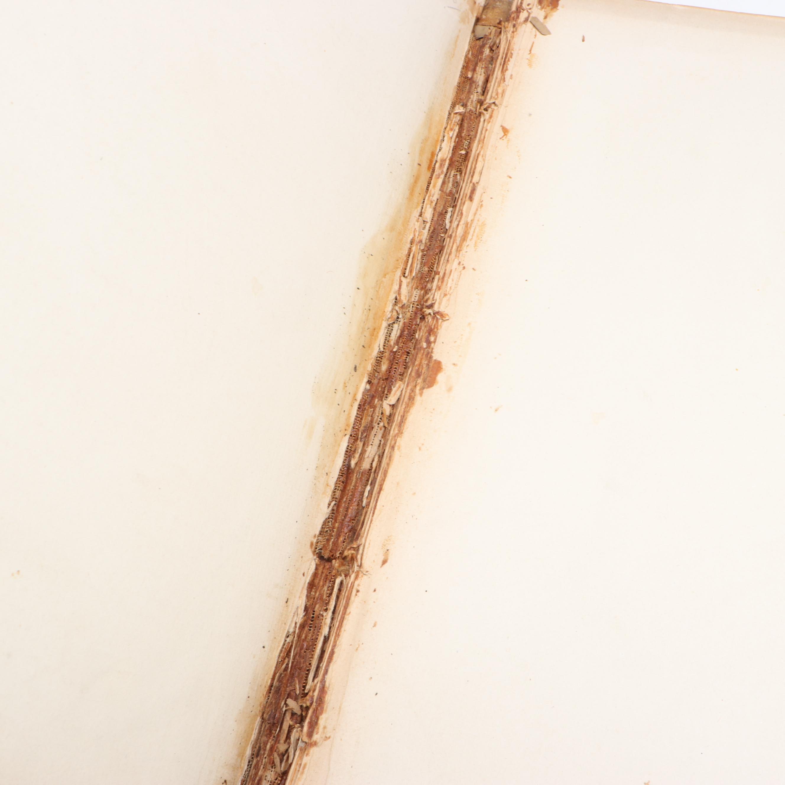 Frederic Remington Illustrated "Done in the Open" by Owen Wister et al., 1902